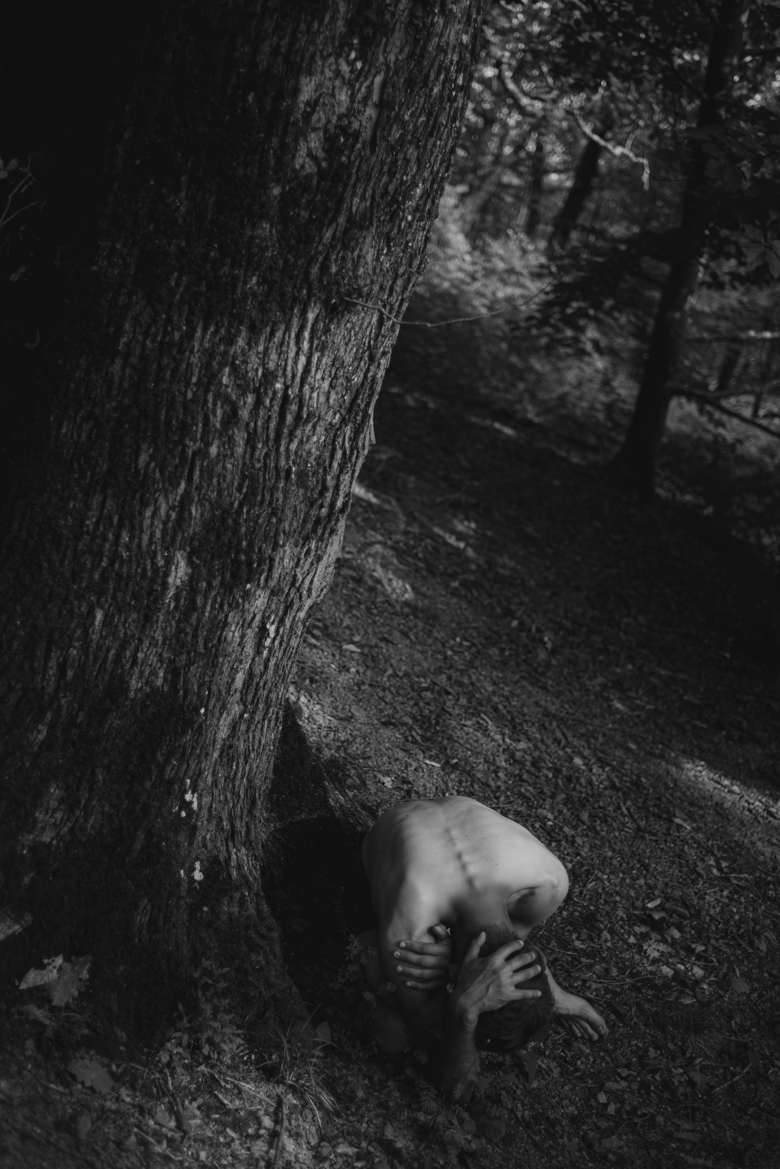 Обо мне. Репортажный фотограф  Сочи Николай Чик