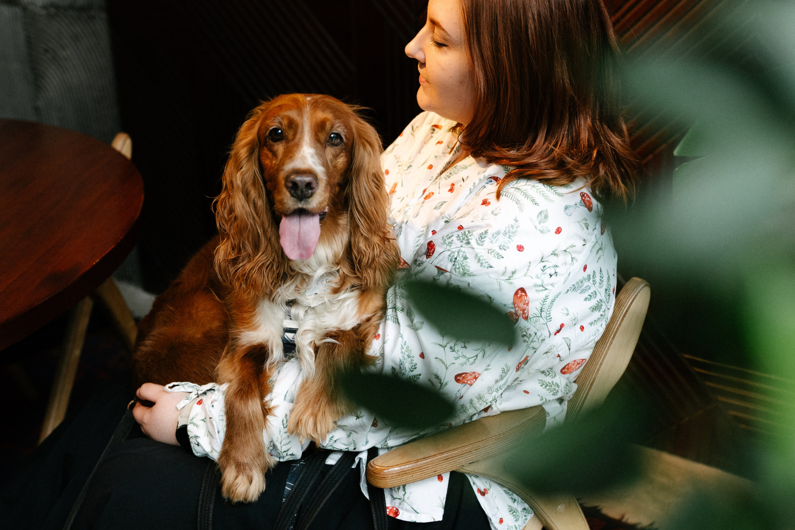 Рыжая команда. Фотограф анималист в Москве Ольга Агушева