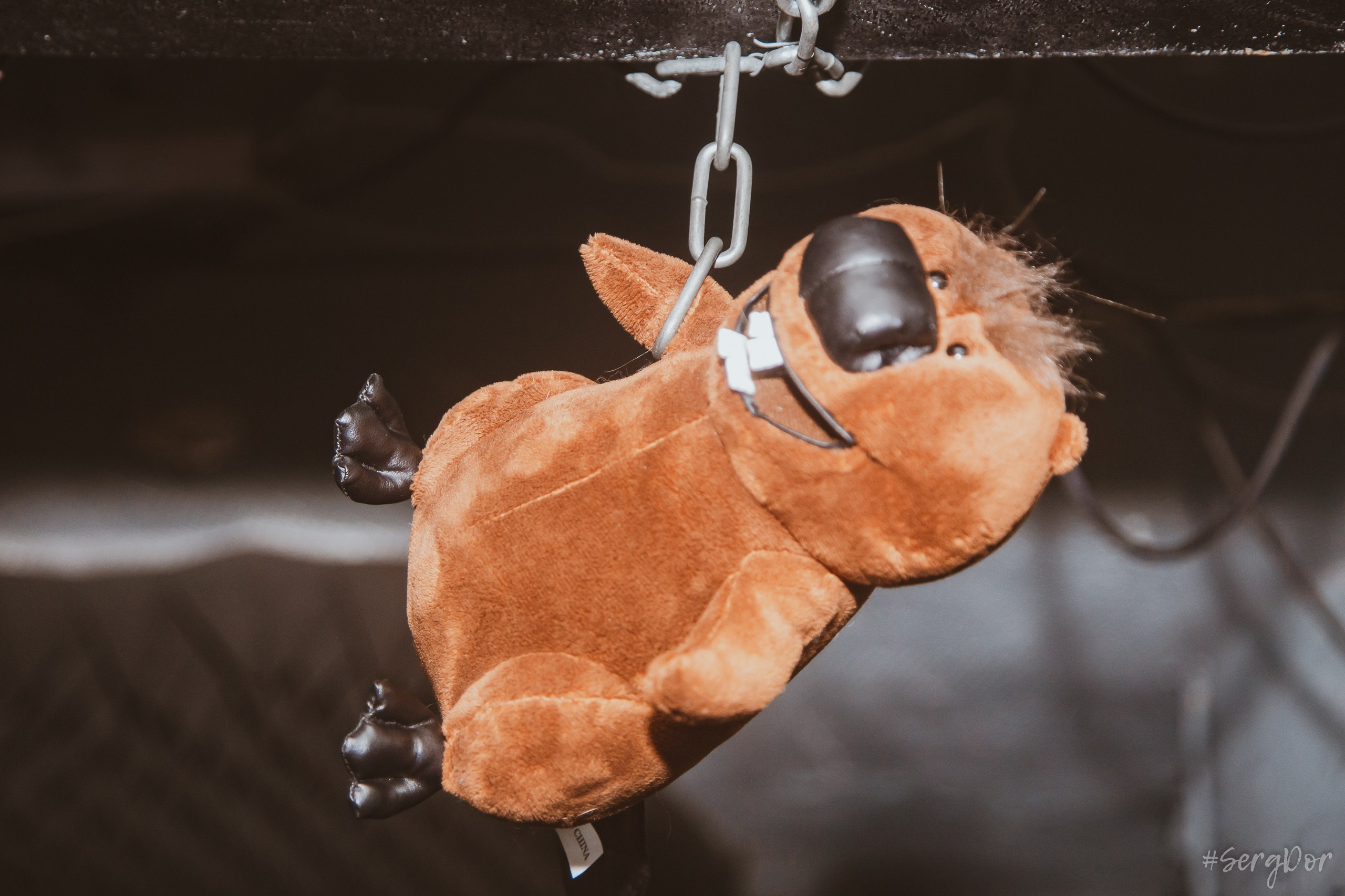 ДР ОРУЩЕГО БОБРА, FISH FABRIQUE NOUVELLE, The Bobers, Буй, Радиопомехи, Фишка, Санкт-Петербург, Боберсы, 10.10.2024, SergDor, 10 октября 2024 года, #SergDor