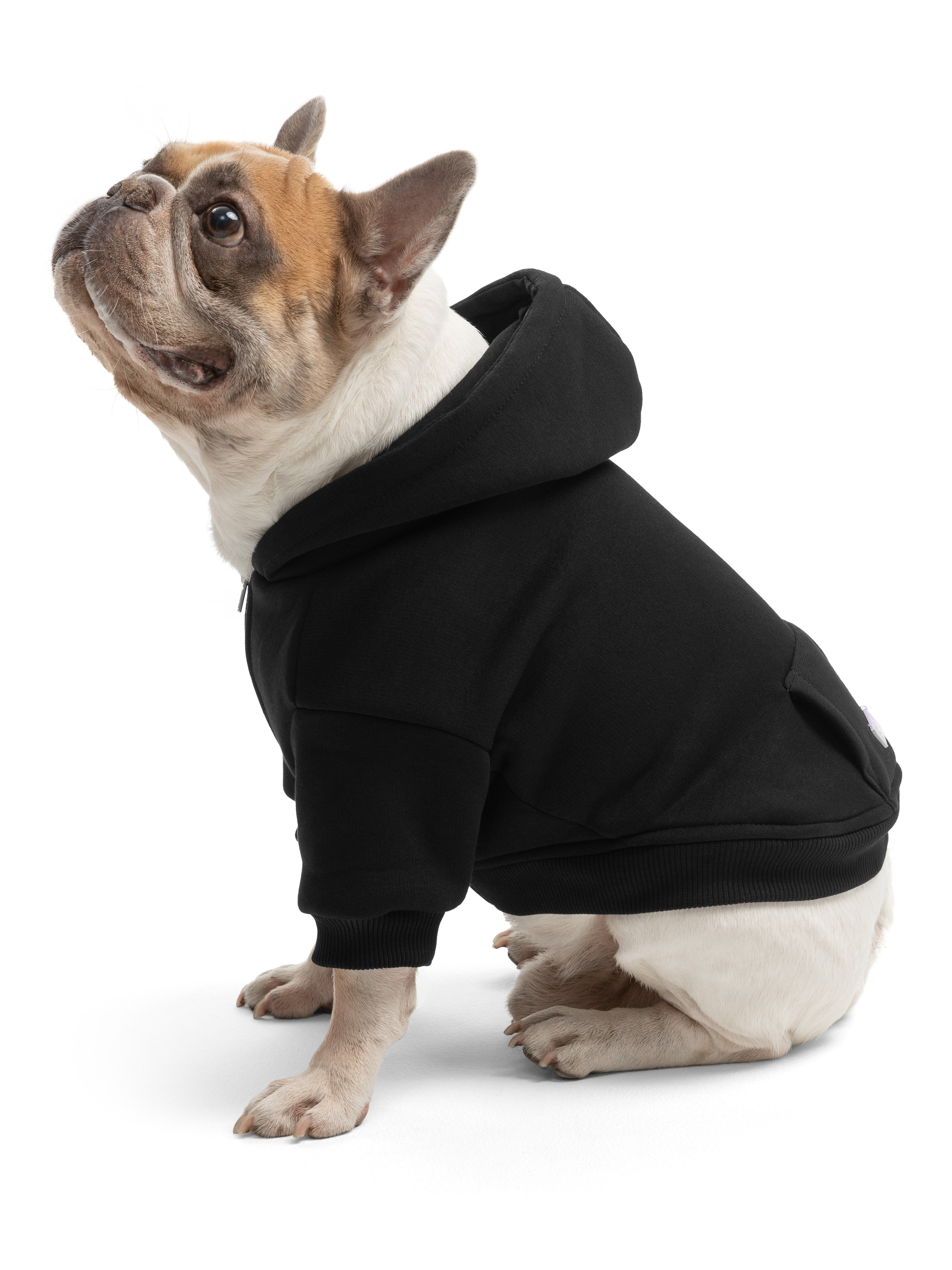 Одежда для собак Pet Subject. Олег Дмитриев