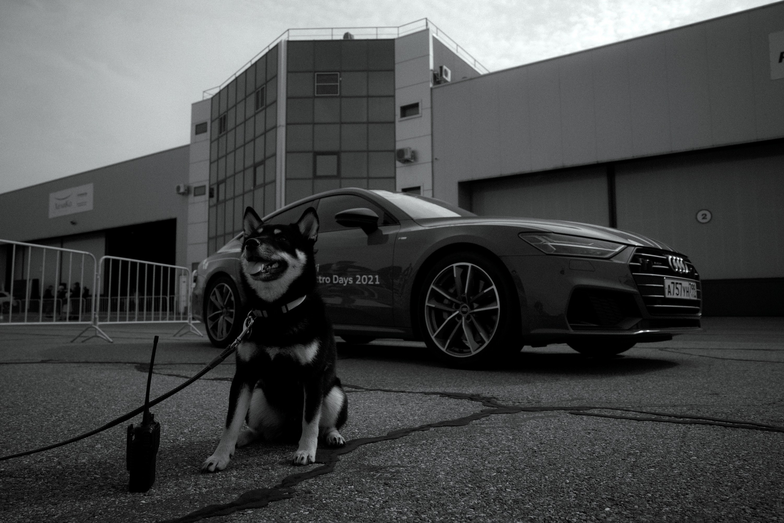 Audi quattro. Фотограф Юрин Евгений