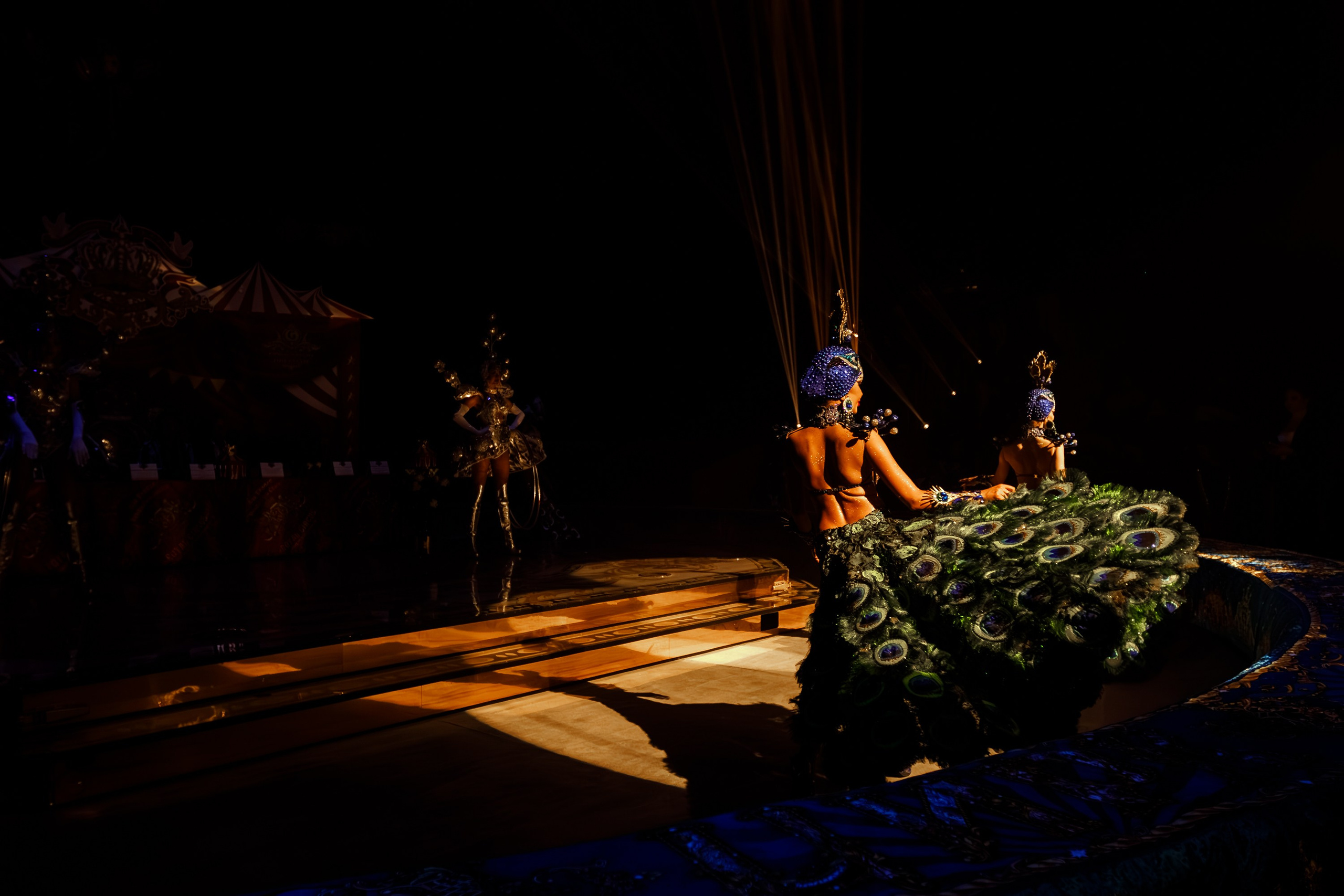 Сочинский росгорцирк Шоу Гии Эрадзе цирк. Профессиональный фотограф в Сочи Виктория Джой. Обучение