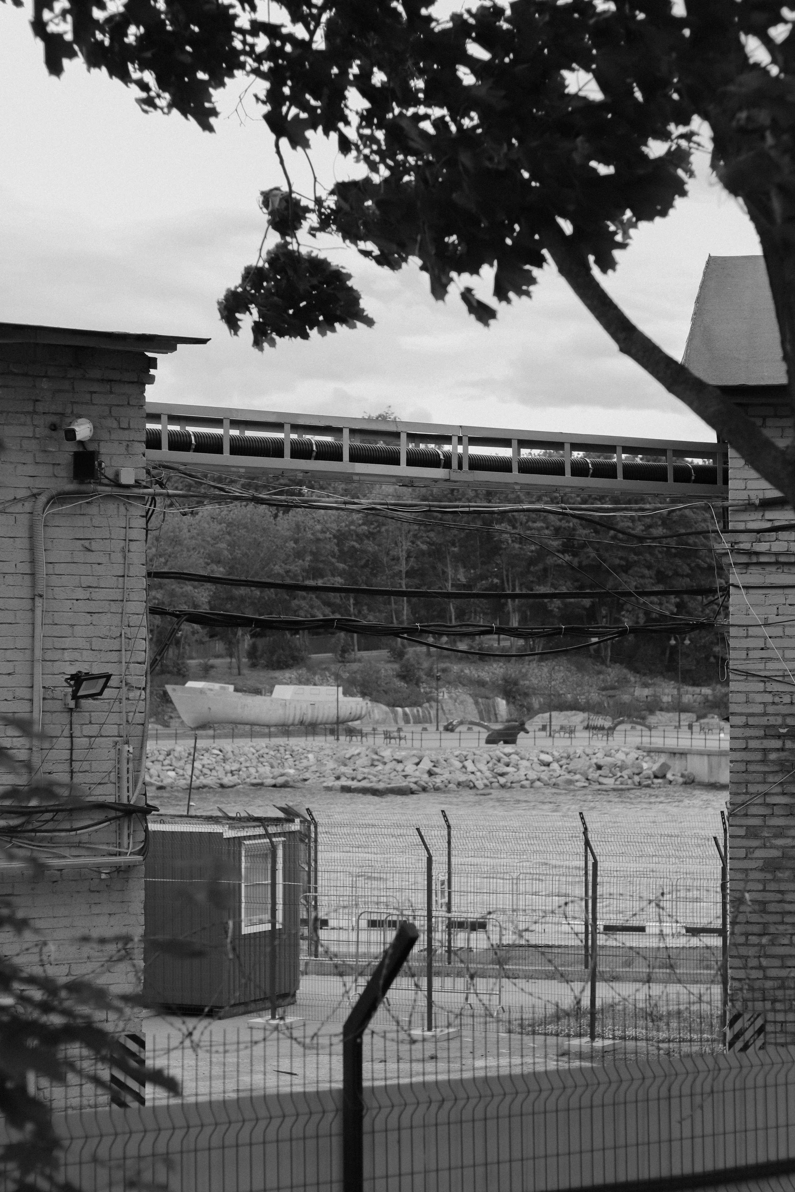 Contour. Фотограф и исследователь фотографии из Санкт-Петербурга Елизавета Веприцкая