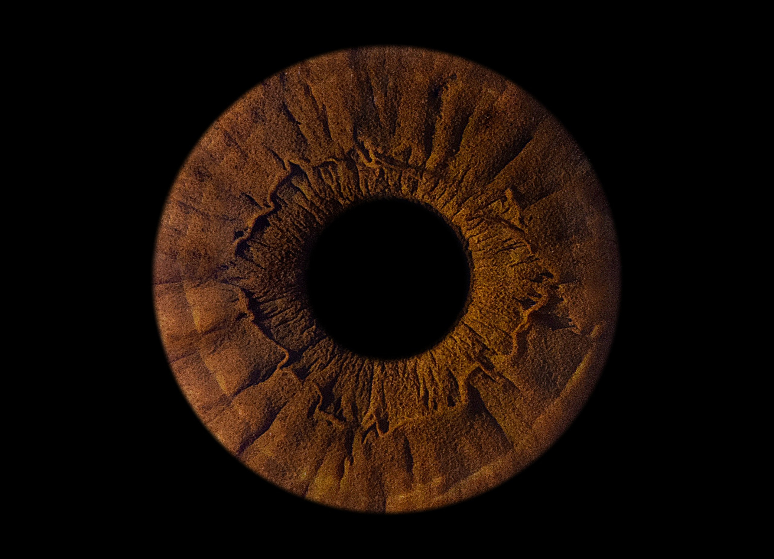 Портфолио. EYEtob | Фотография радужной оболочки | Тобольск