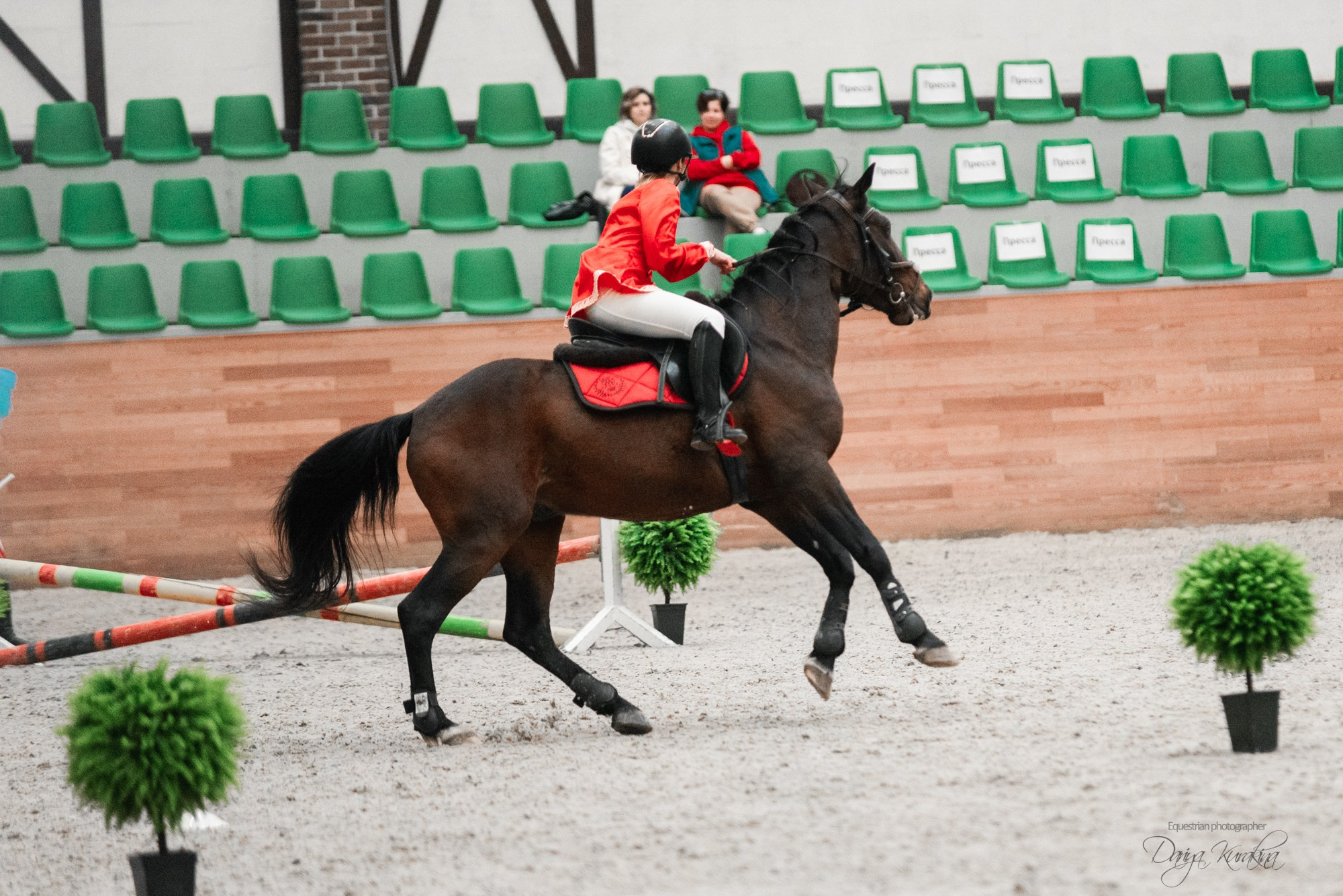 8-я международная выставка Конная Россия. Конный фотограф Куракина Дарья • Фотосессии с лошадьми