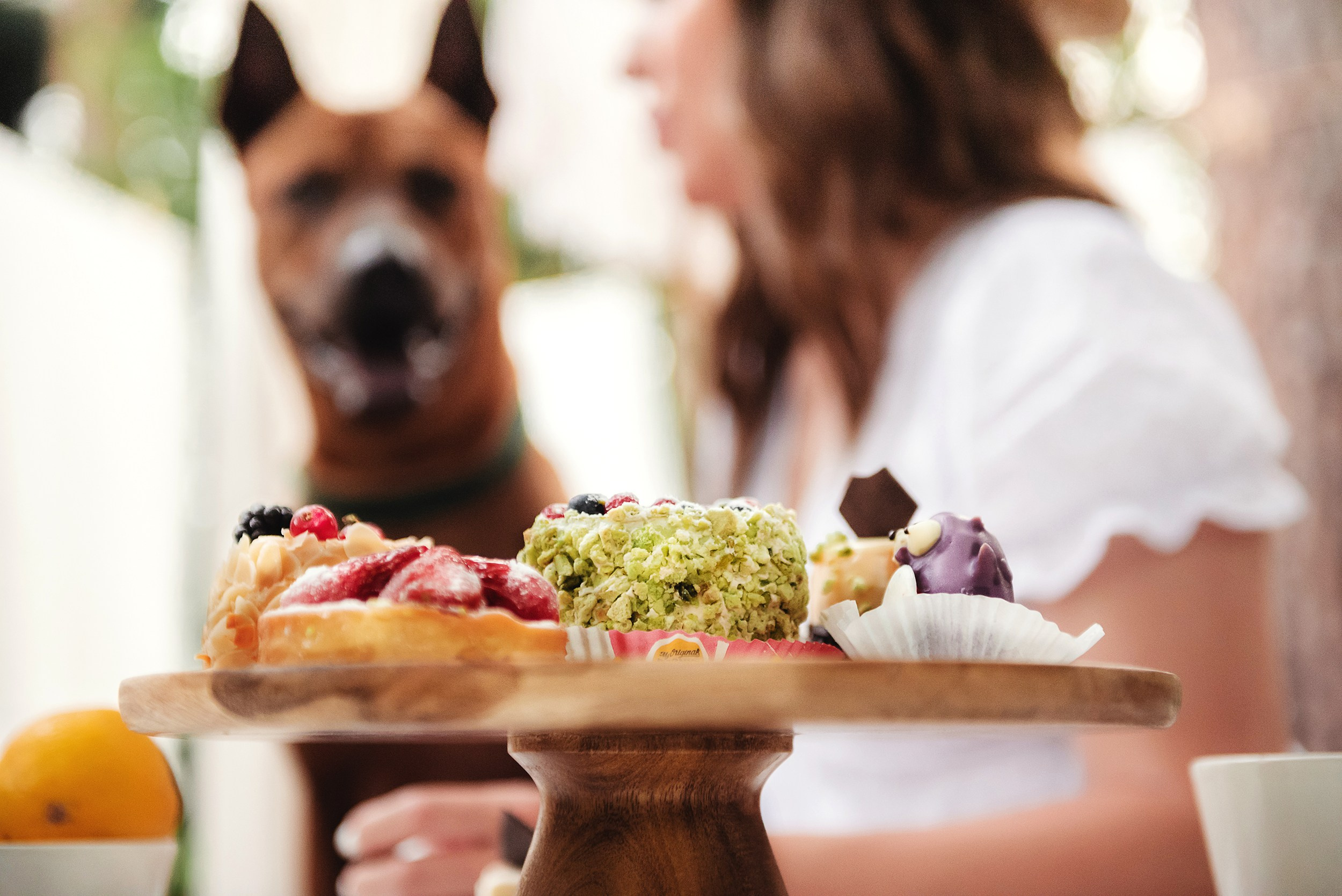 Оксана и Зевс на даче. Семейный Фотограф в Москве Ирина Хохлова