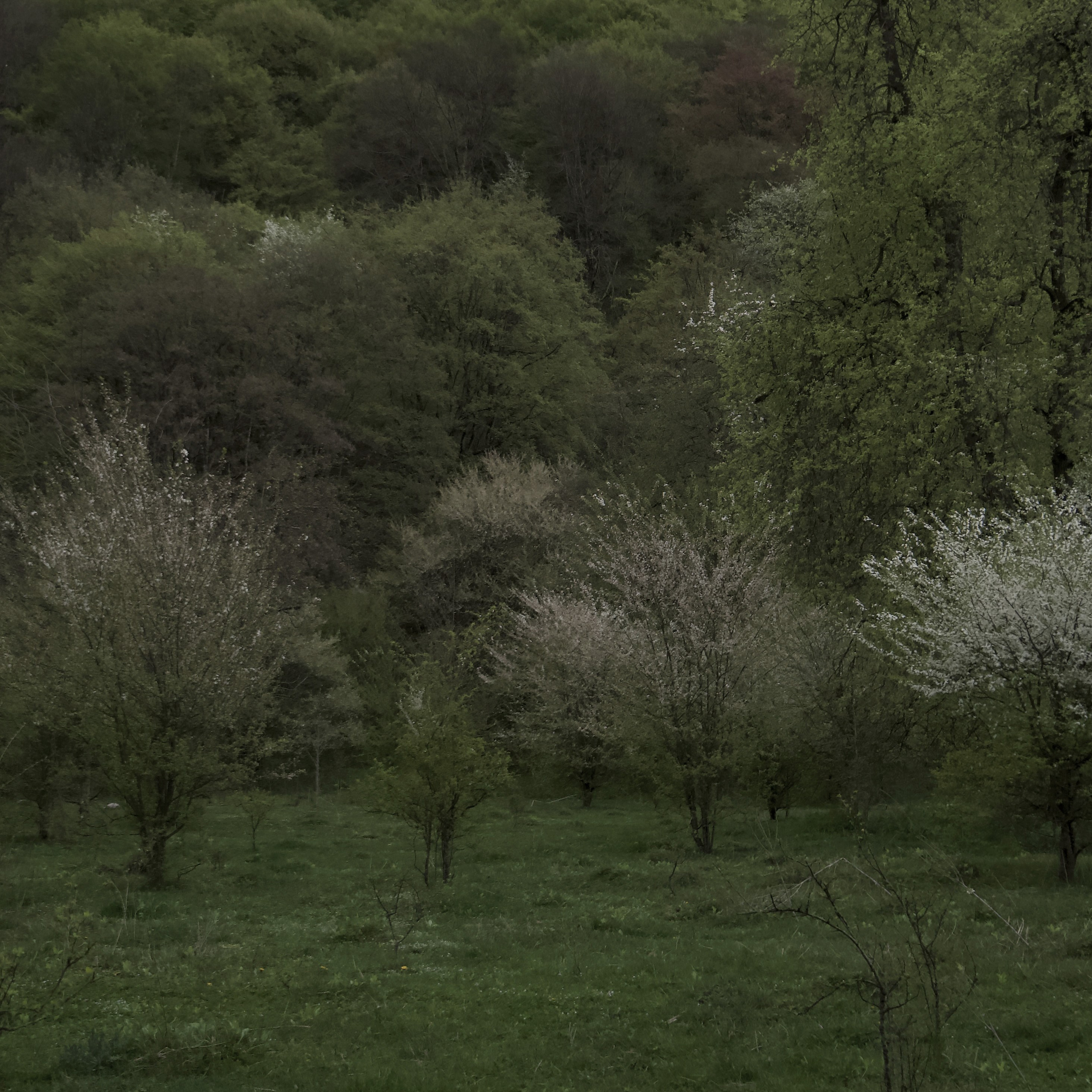 Ничего не было видно и приходилось прислушиваться. Художественная группа «Нежные Бабы»