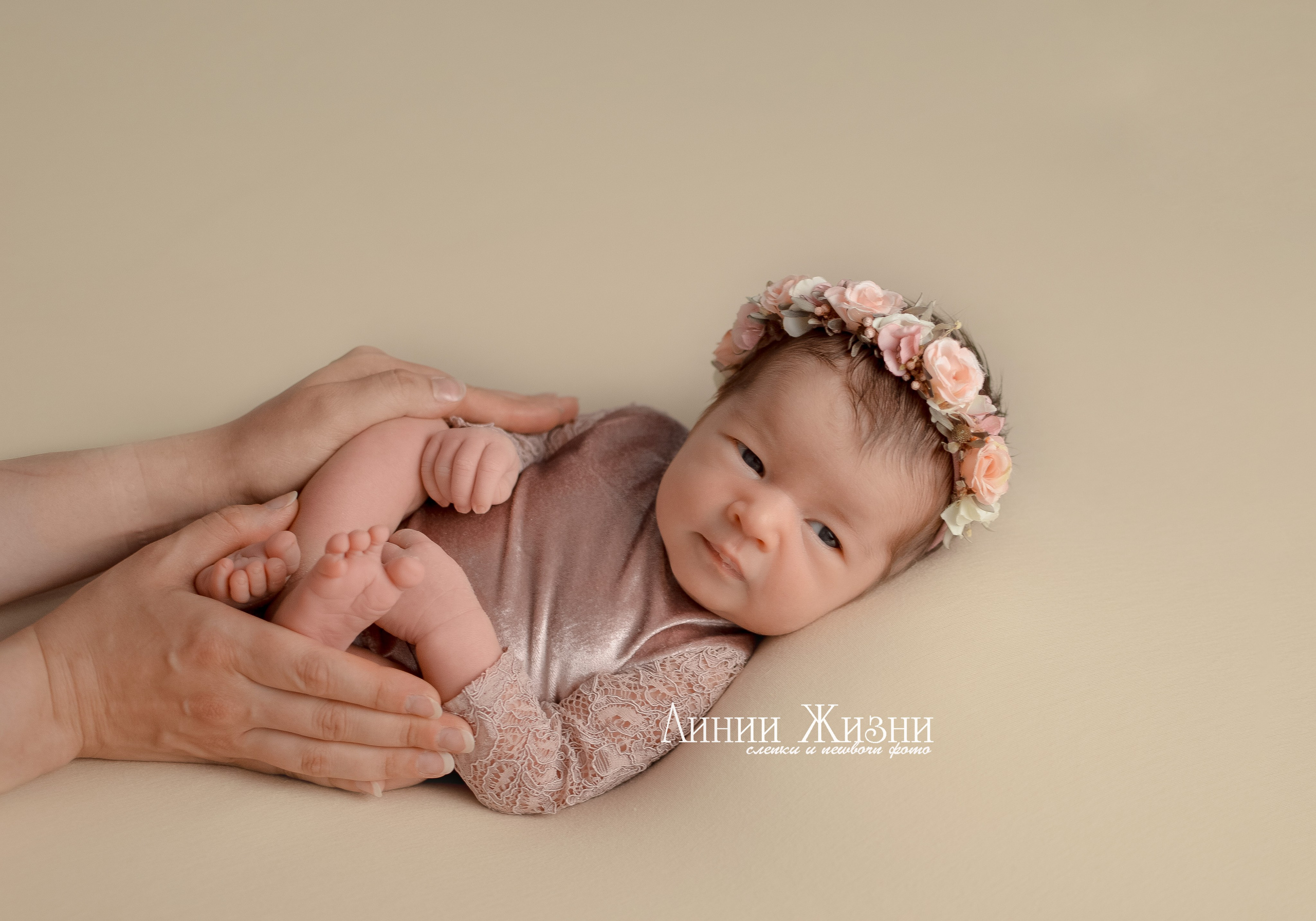 София 10 дней. Фотограф новорожденных в Нижнем Новгороде Сергеева Оксана