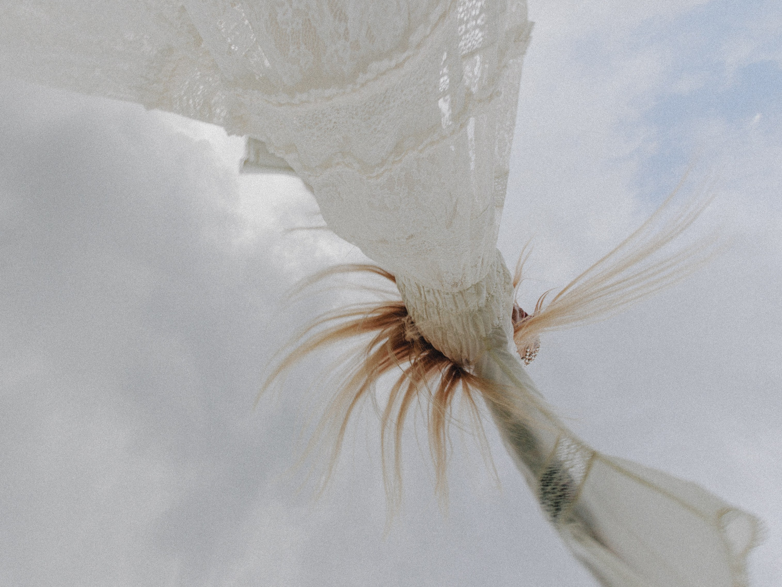 Юля и Андрей. Эстетичный свадебный репортаж в любом городе страны