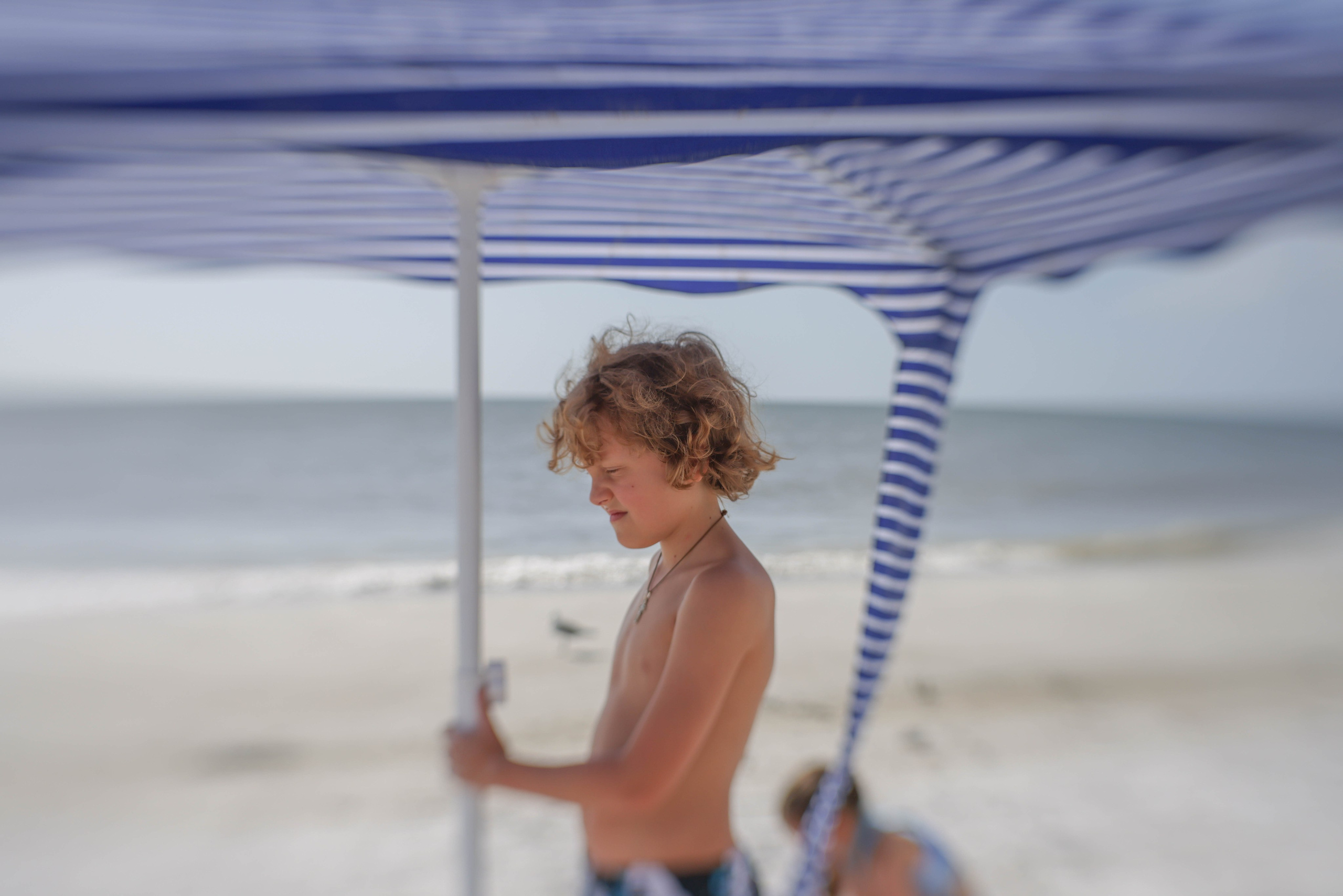 Фотопрогулка. Kateserbina