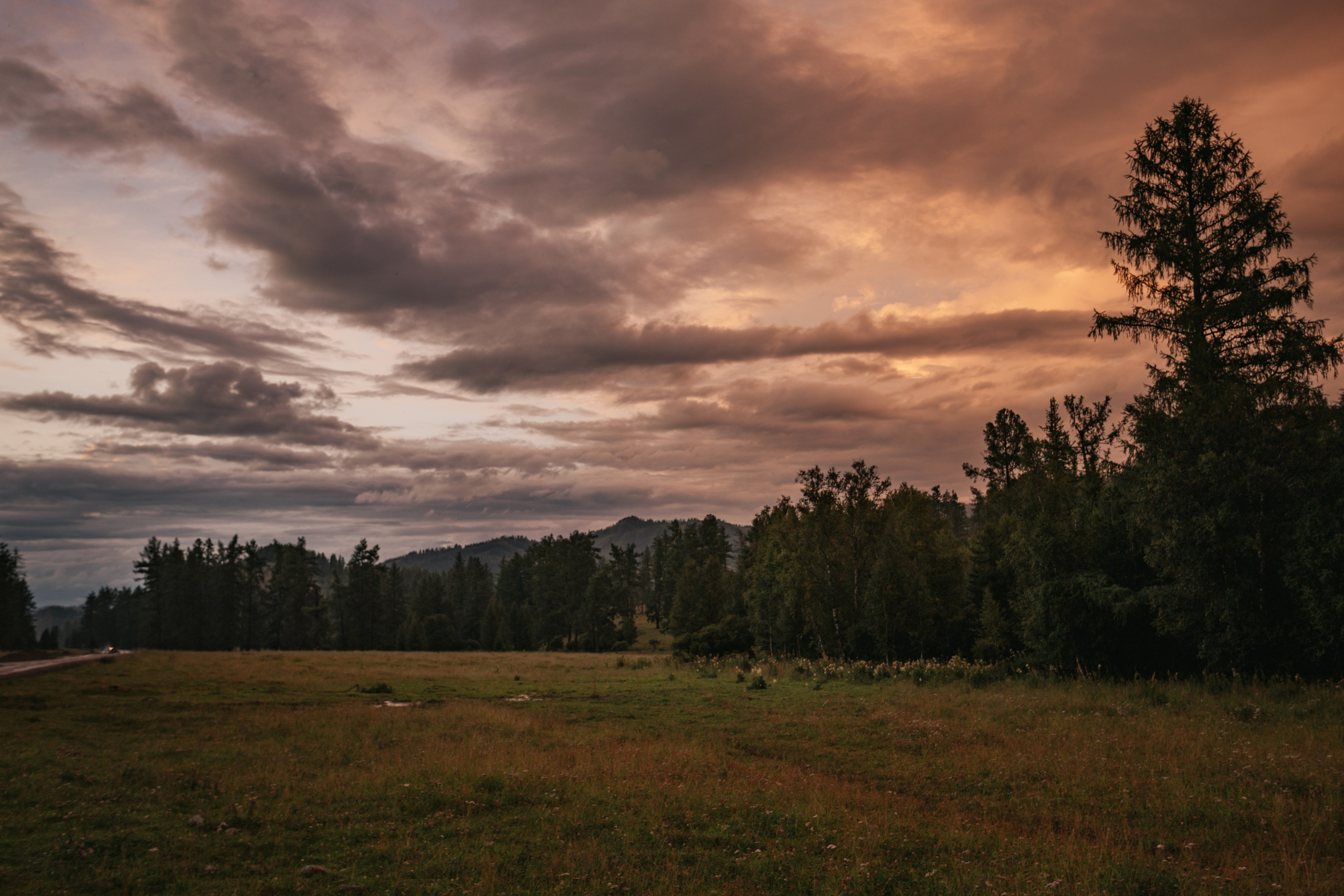 Катунский заповедник, Республика Алтай. Репортажный фотограф в Крыму Ксения Гасица