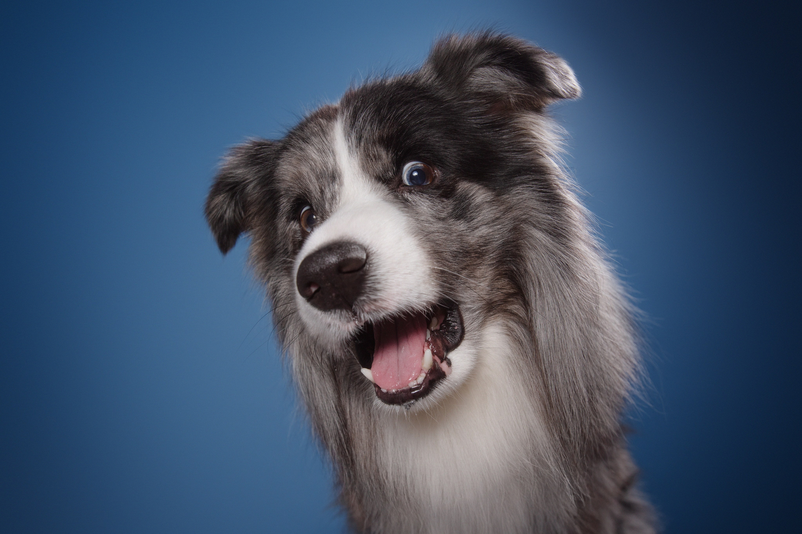 Фотодень в Москве. Фотограф Анна Тюрина