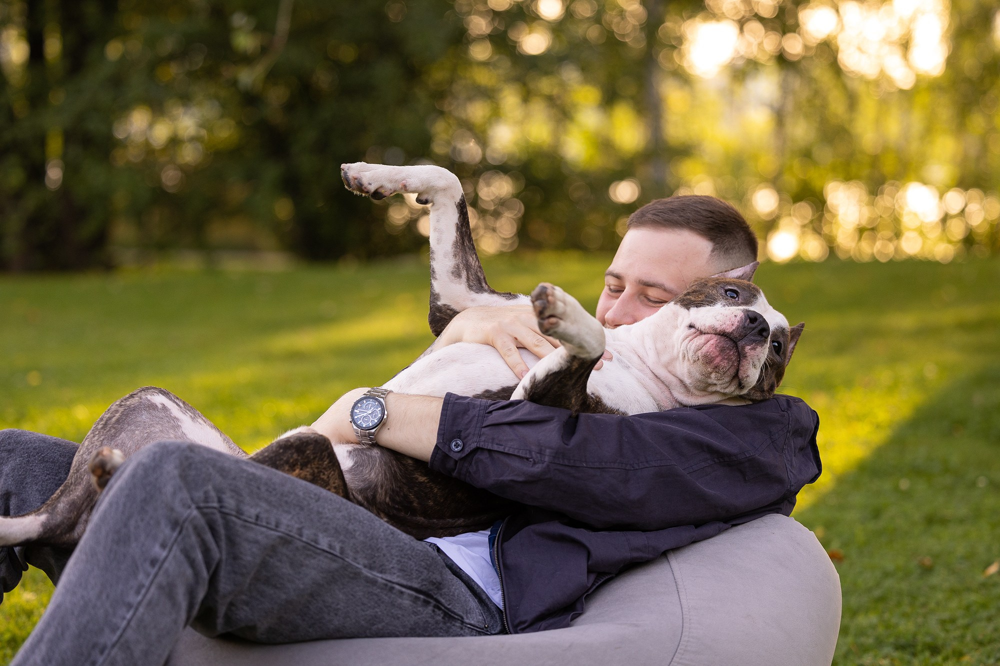 Амстафф Честер и его семья. Фотограф-анималист Natalia Deingel | Фотосъемка собак в Москве