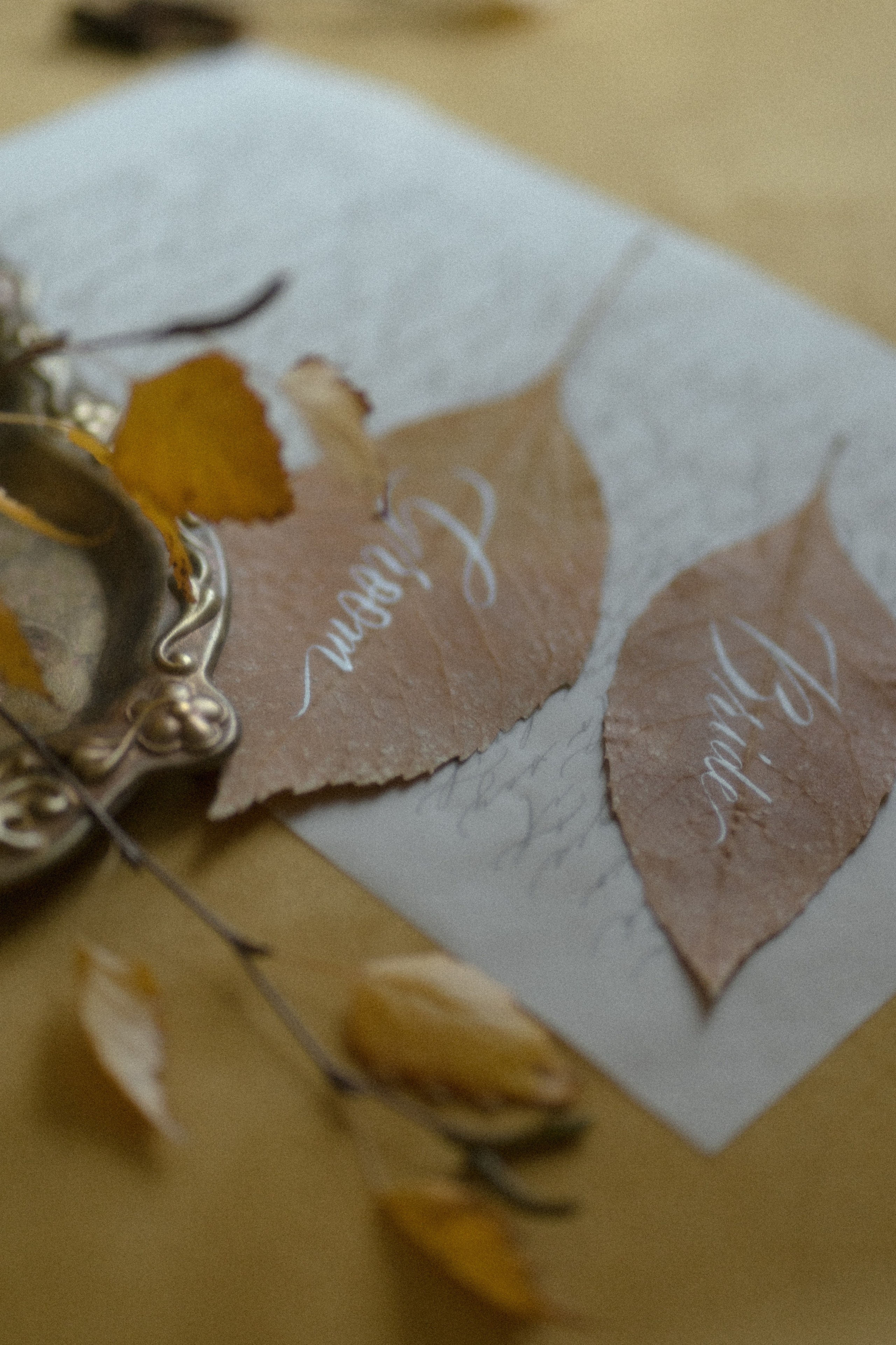 Old. Создаю контент для бизнеса- Андрей Корниенко и упаковываю компании и экспертов в Краснодаре