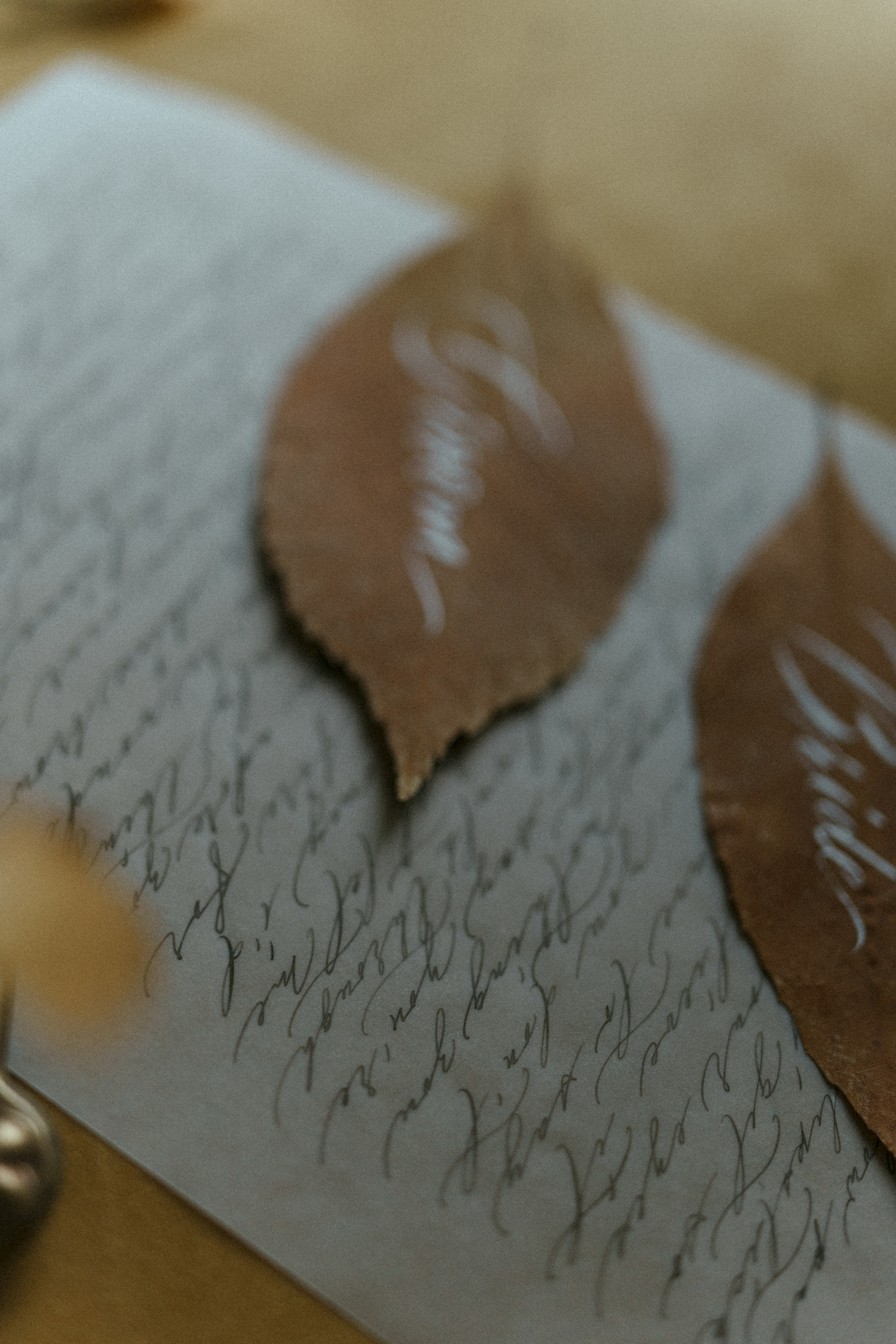 Old. Создаю контент для бизнеса- Андрей Корниенко и упаковываю компании и экспертов в Краснодаре