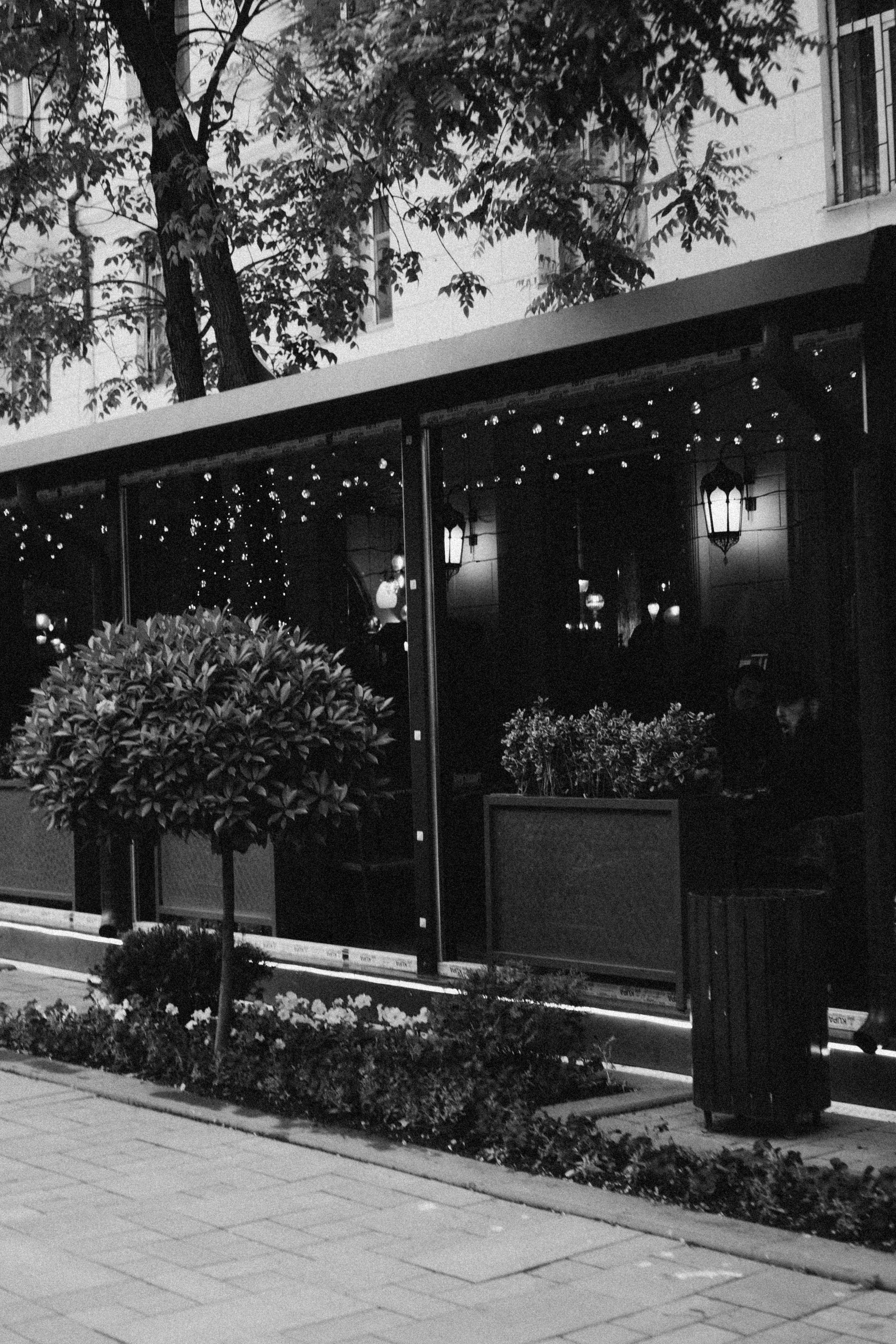 Кавказ. Профессиональный фотограф, Санкт-Петербург — Виктория Богомолова