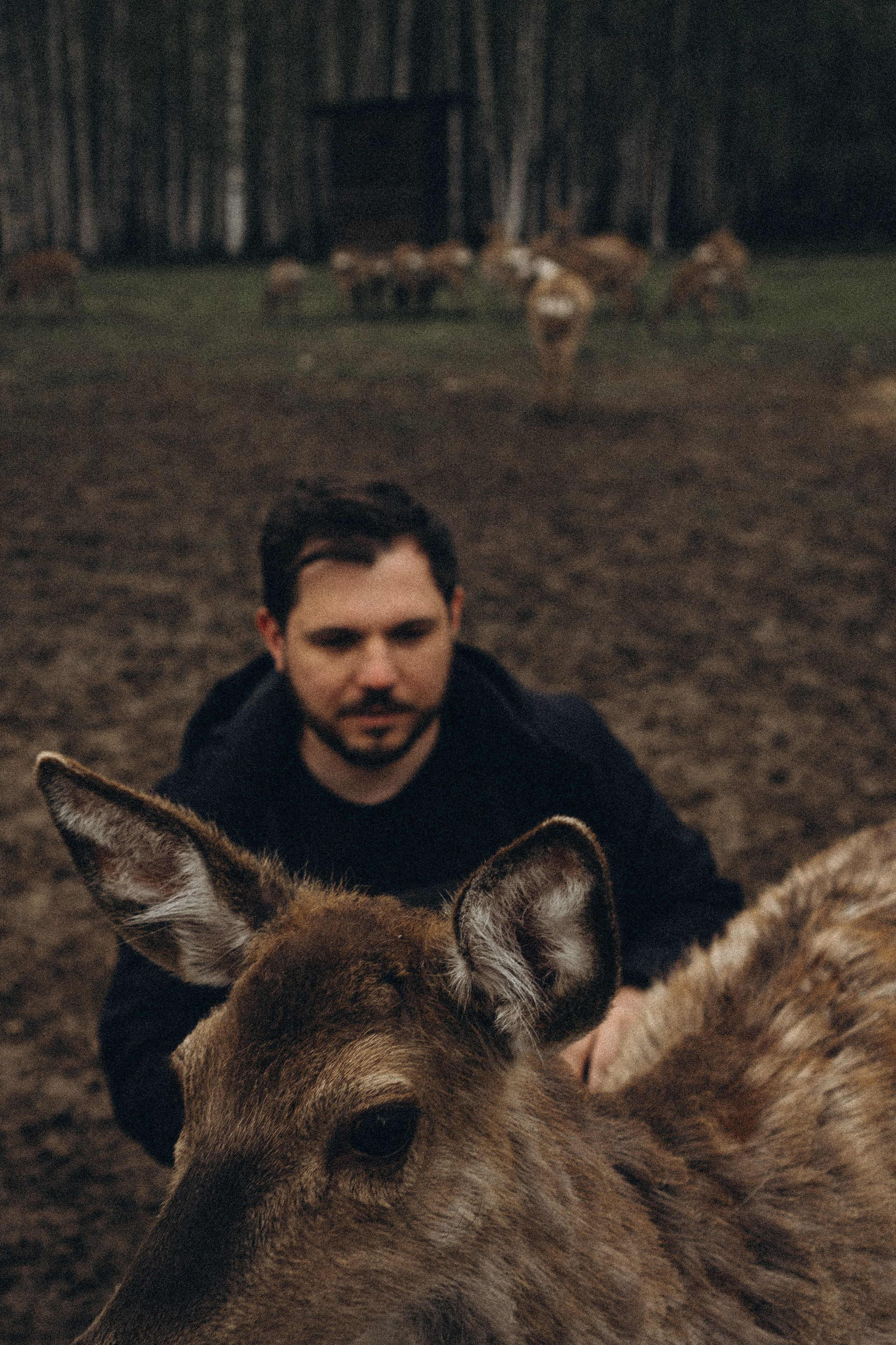 ОЛЕНЬЯ ФЕРМА В ТВЕРИ. Профессиональный фотограф, Санкт-Петербург — Виктория Богомолова
