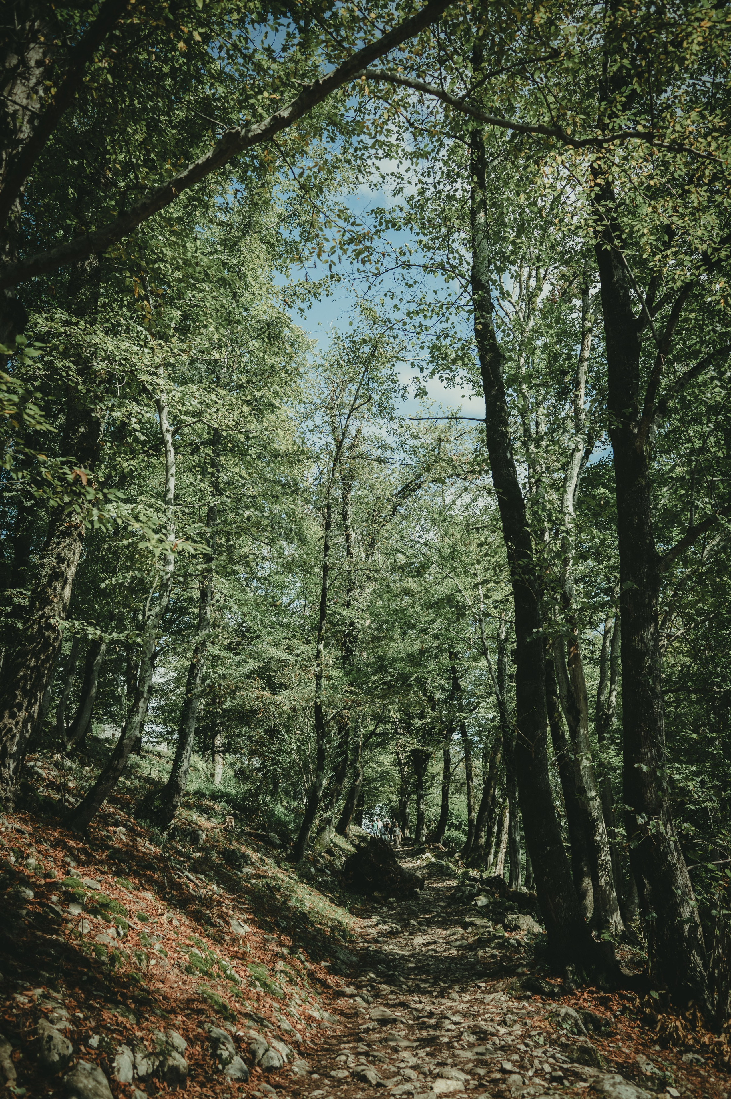 Абхазия. Женский фотограф Крещение Венчание Москва Брянск