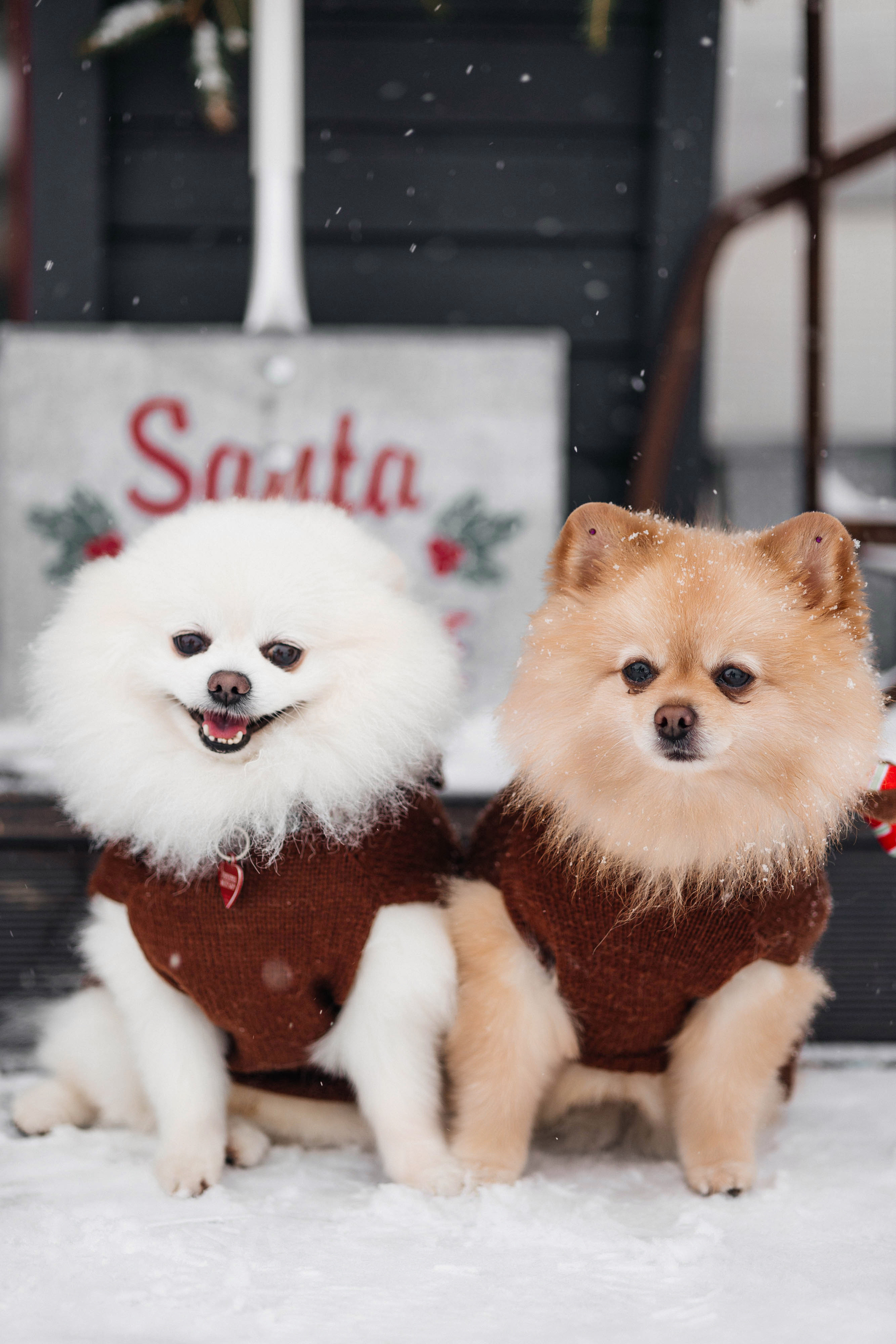 Валерия и Иван. Свадебный фотограф Минск РБ
