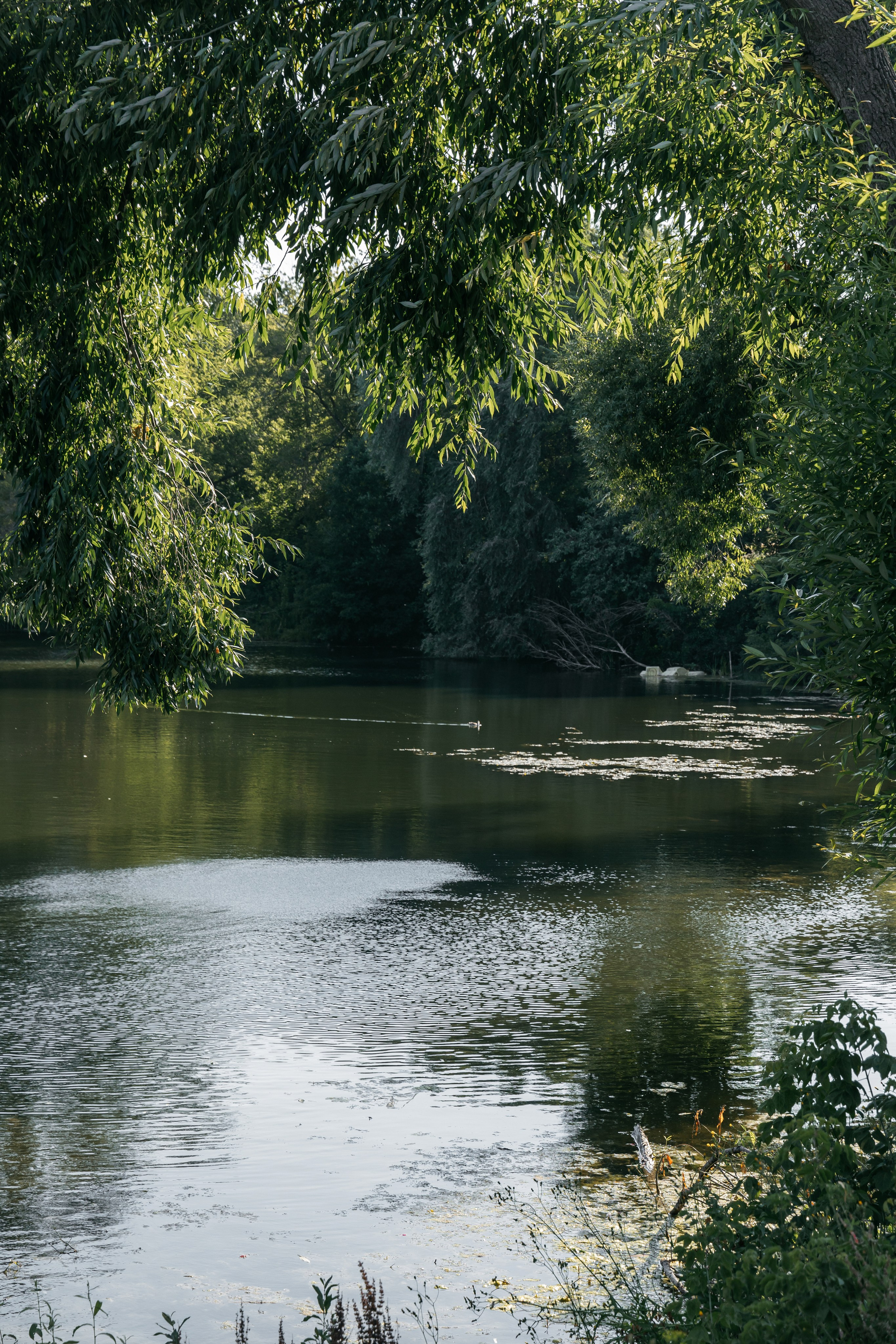 Павел и Елена. Свадебный и семейный фотограф в Самаре Посконнова Анна