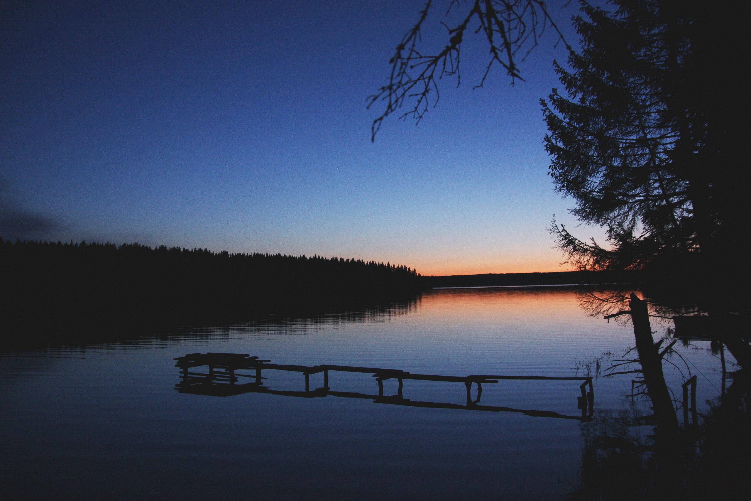 Средняя полоса. Свадебный и репортажный фотограф в Ярославле и Санкт-Петербурге Роман Микрюков
