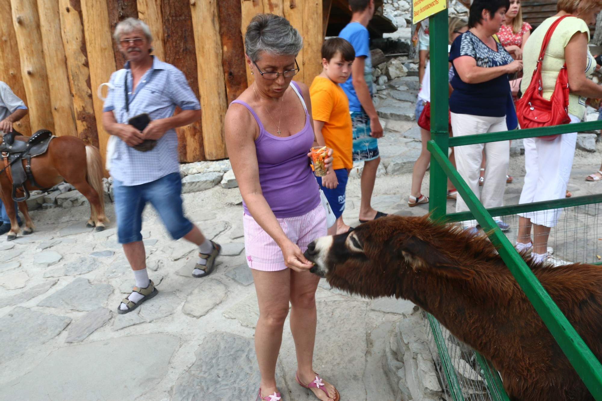 Геленджик 2016 г. Улица, люди, жизнь…