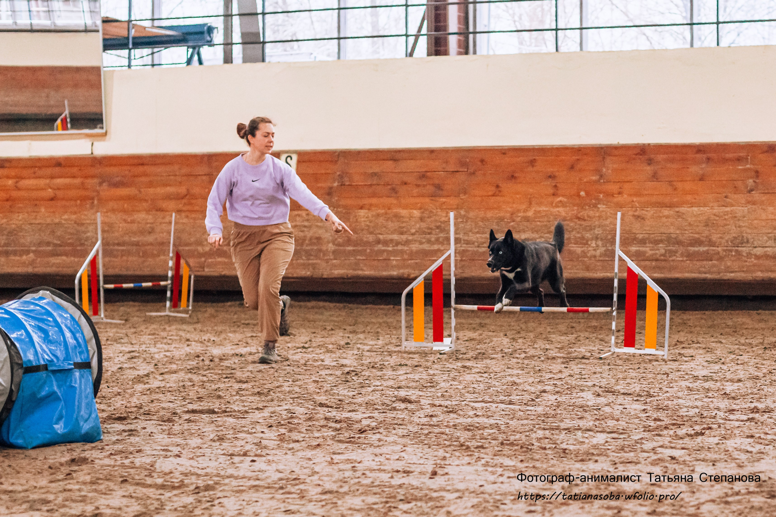 Соревнования по Аджилити 25.02.2024. Фотограф-анималист Татьяна Степанова