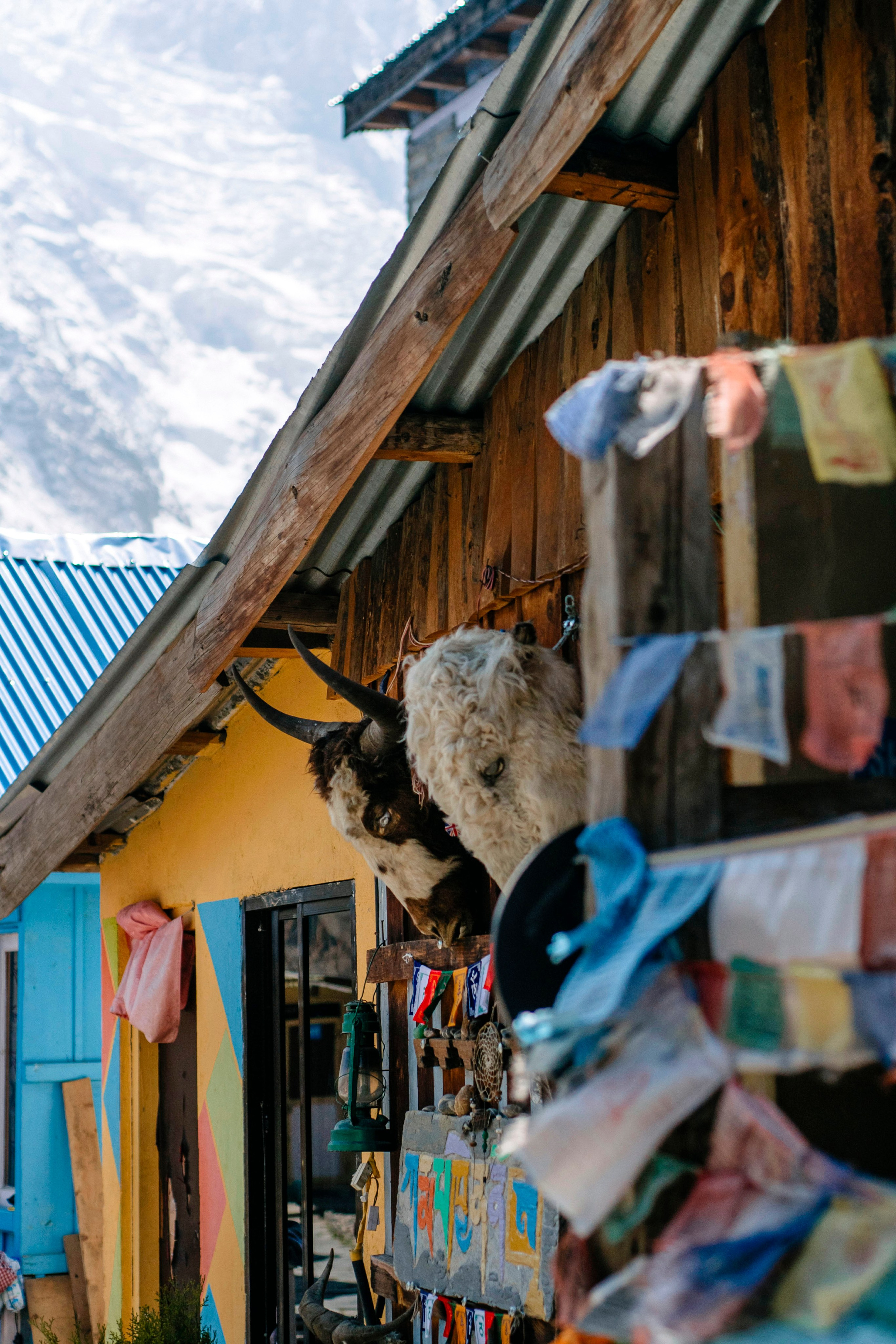 Annapurna trek. Iraogo