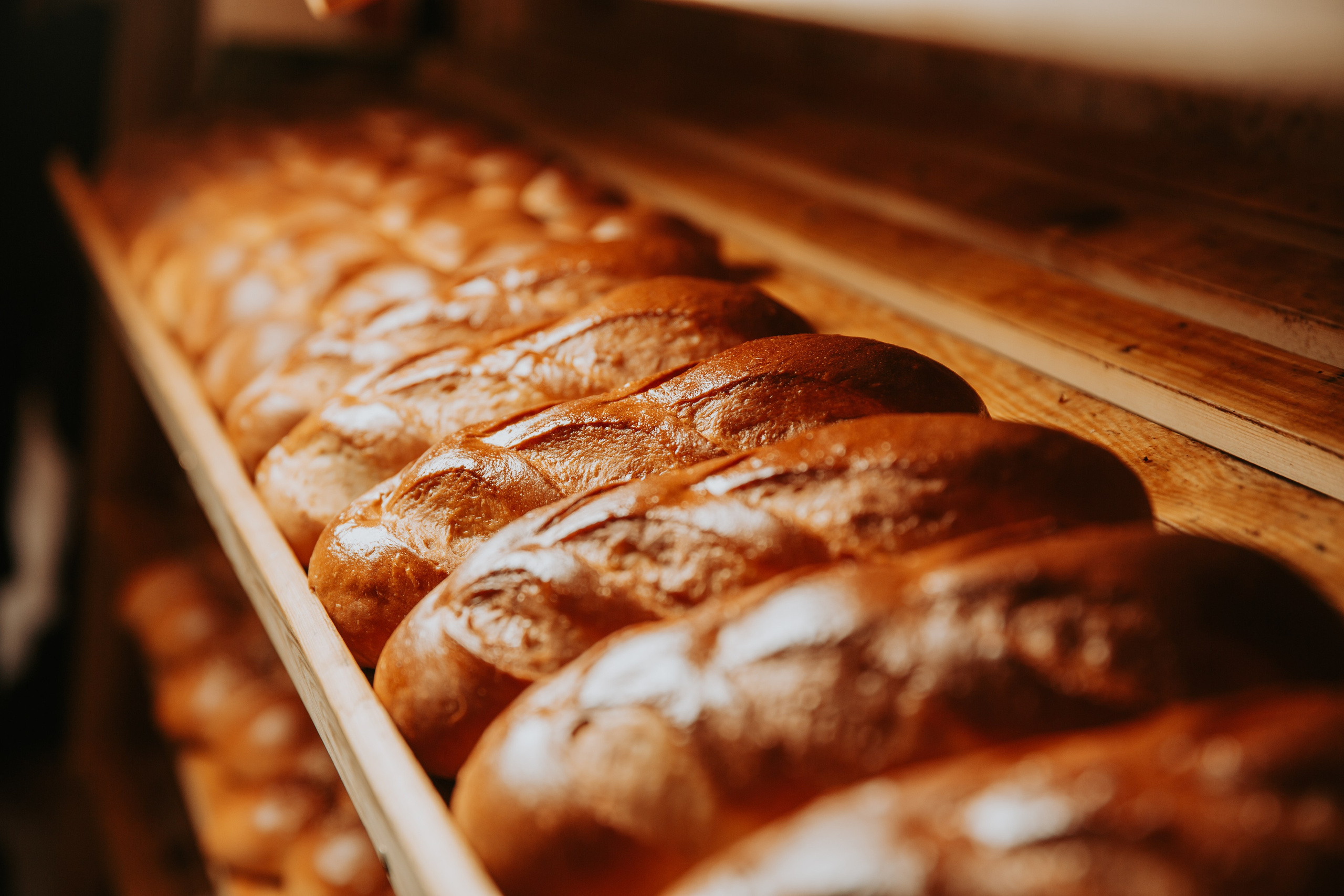Пекарня Семейная. Свадебный и репортажный фотограф в Ярославле Евгений Шовдин