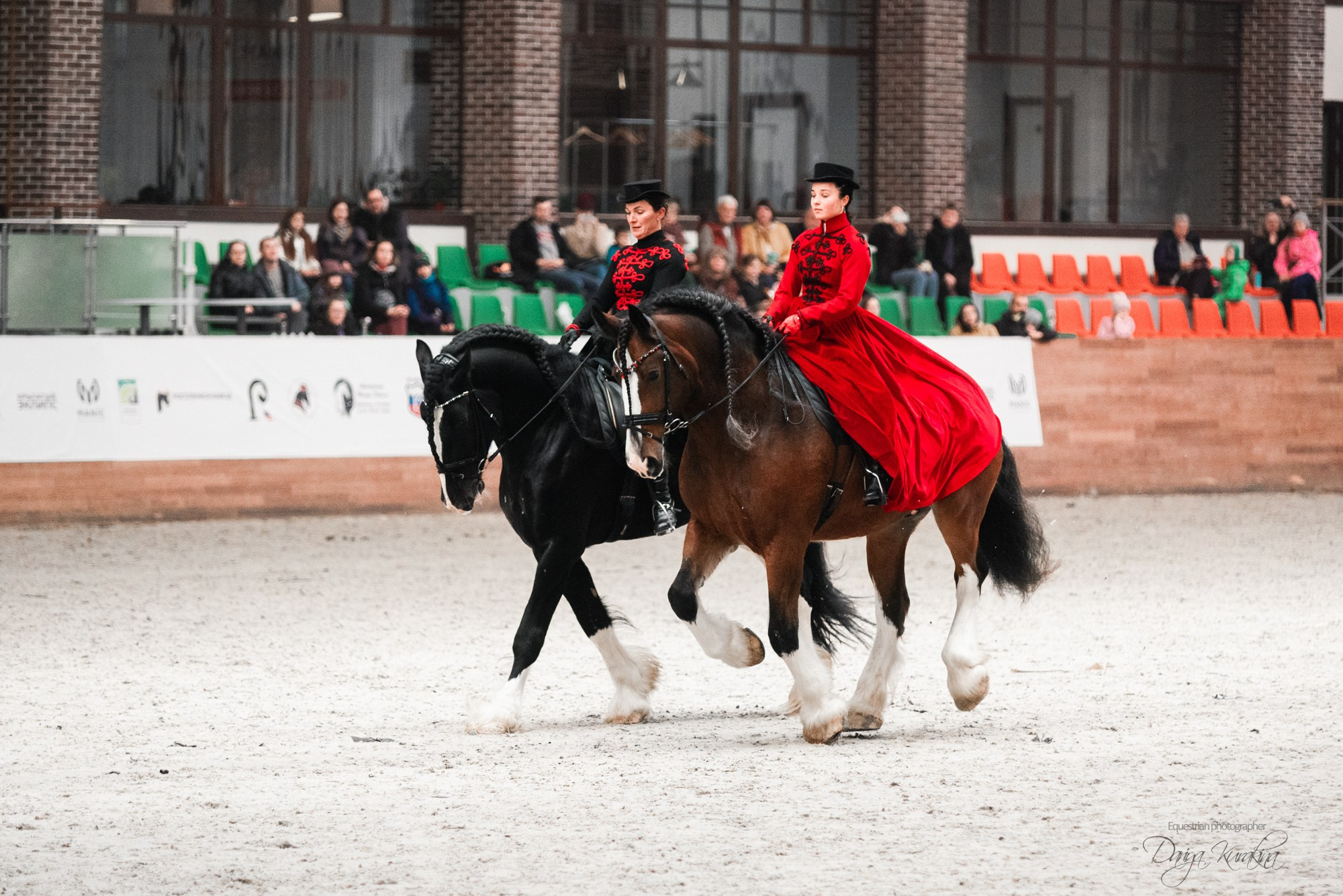 8-я международная выставка Конная Россия. Конный фотограф Куракина Дарья • Фотосессии с лошадьми
