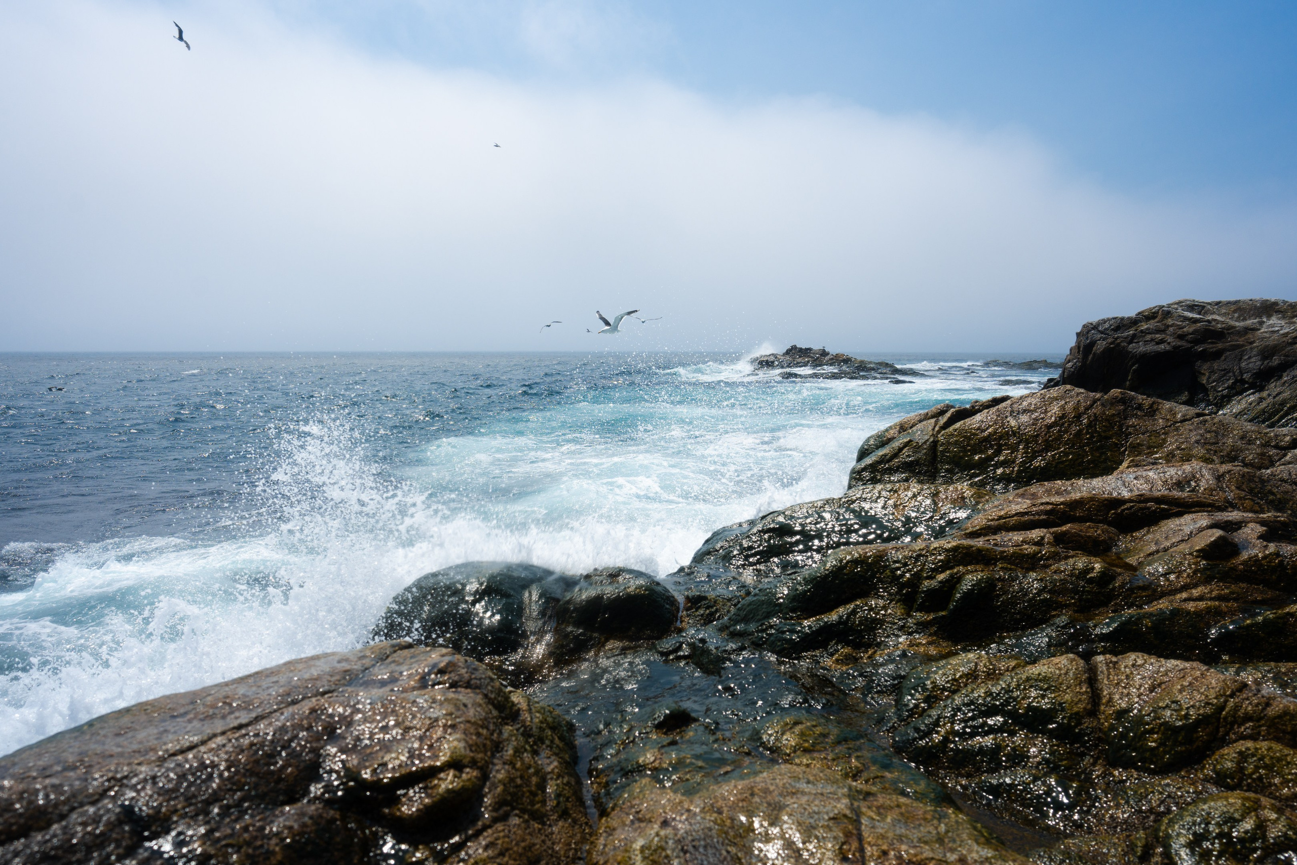 游览阿尼瓦灯塔. Ivan Zaitsev (IZIART) — 通过照片和视频创建文化代码