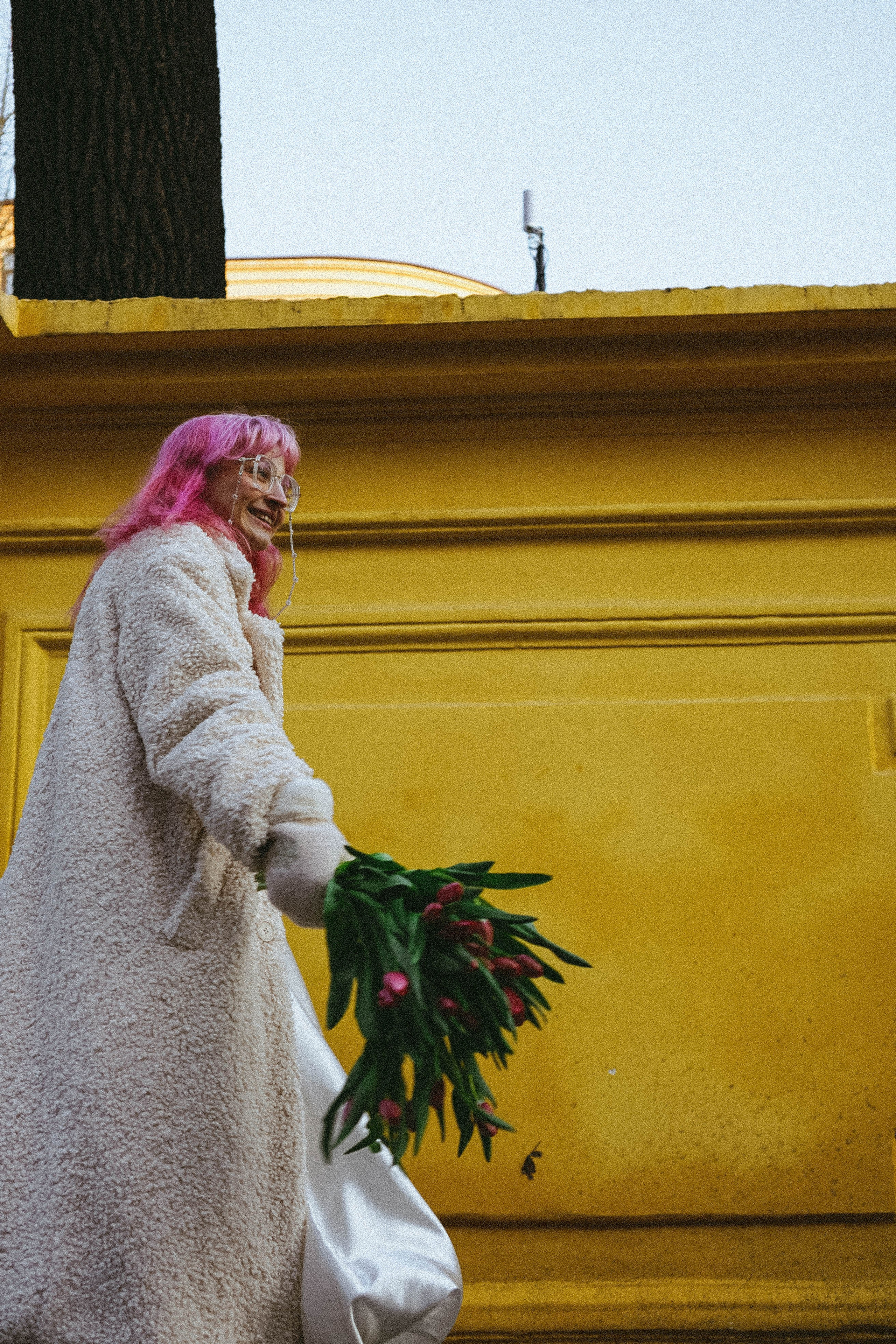 Тюльпаны. Профессиональный фотограф, Санкт-Петербург — Виктория Богомолова