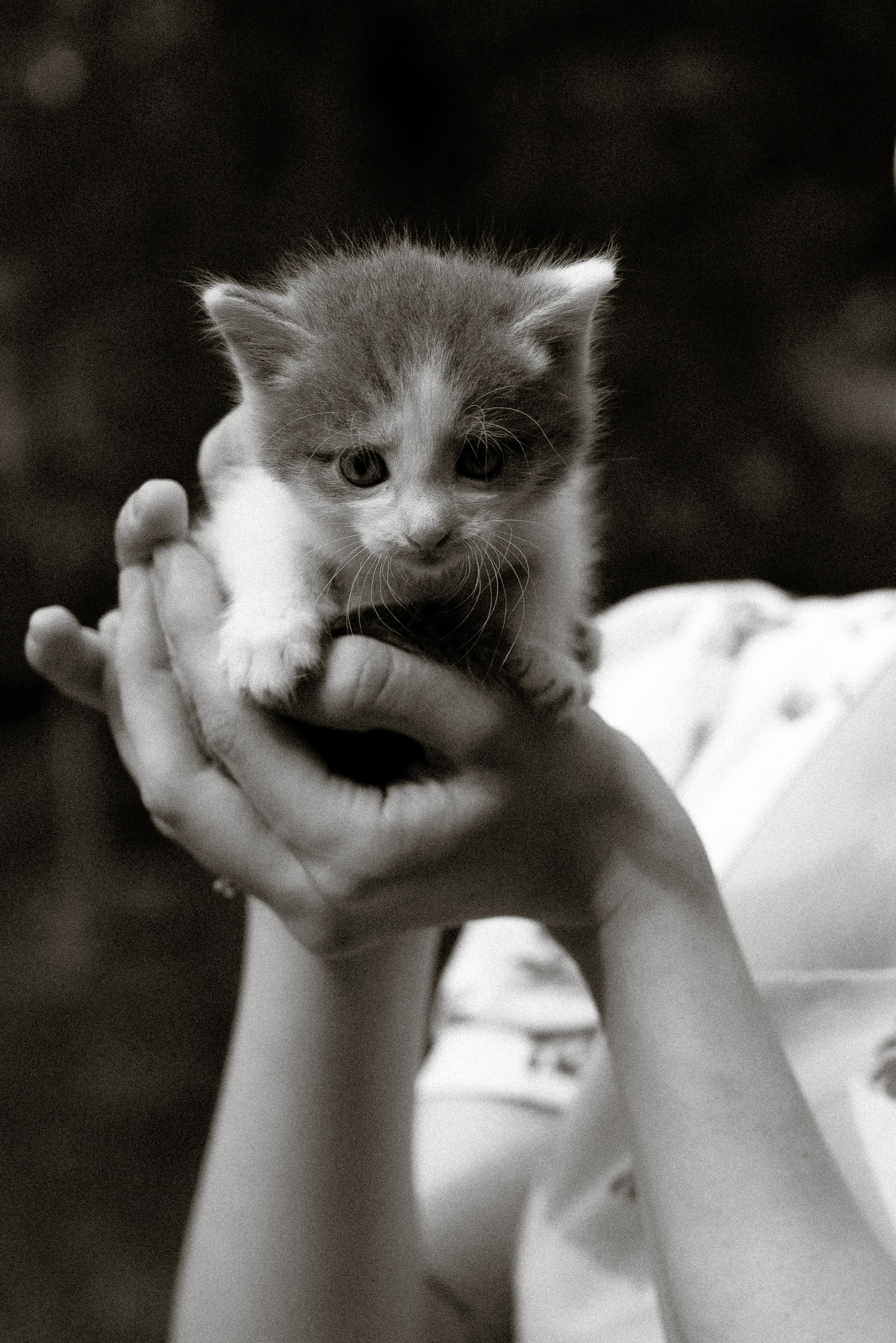 Саша. Тамара Власова