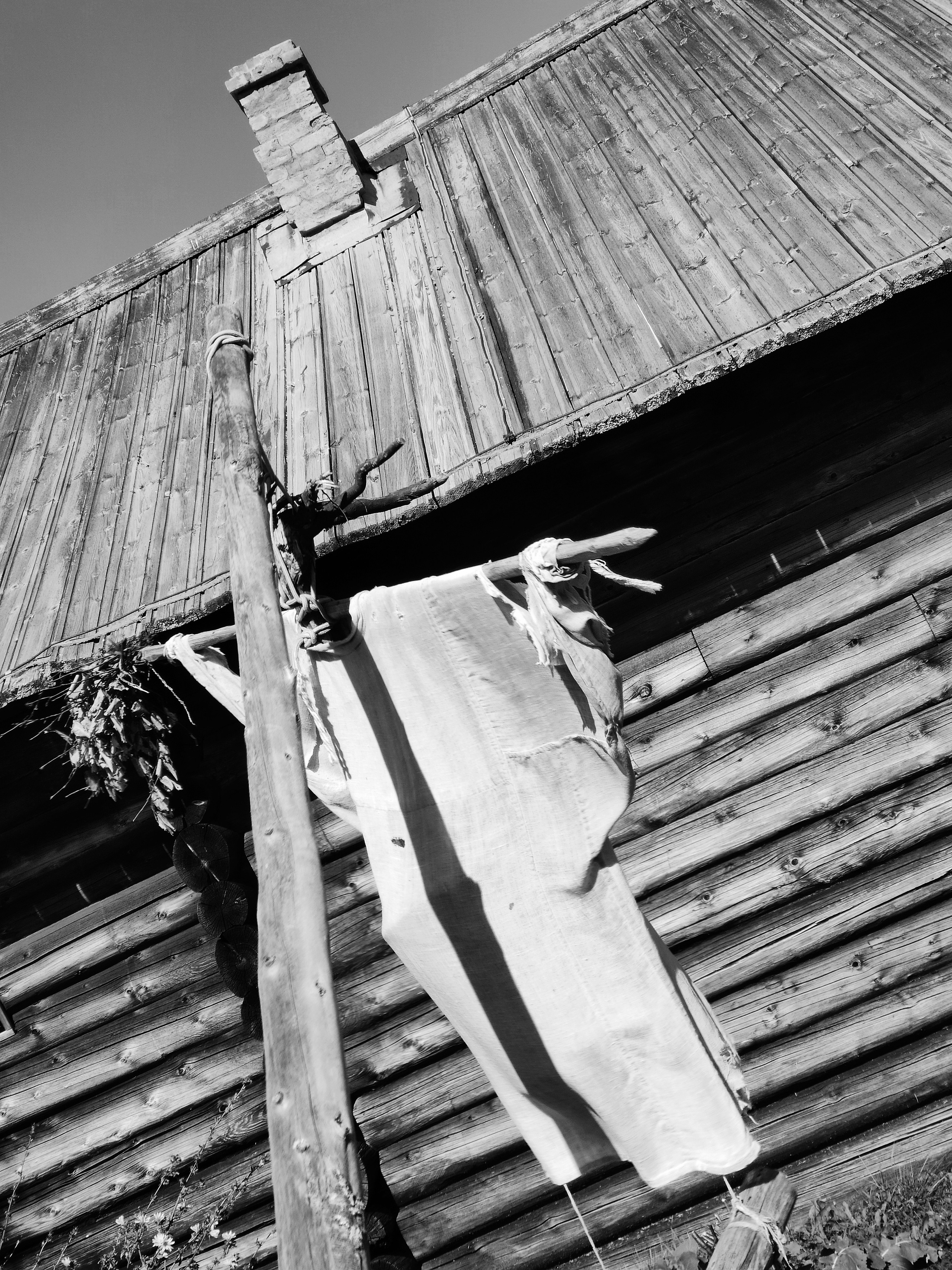 Пугало во дворе