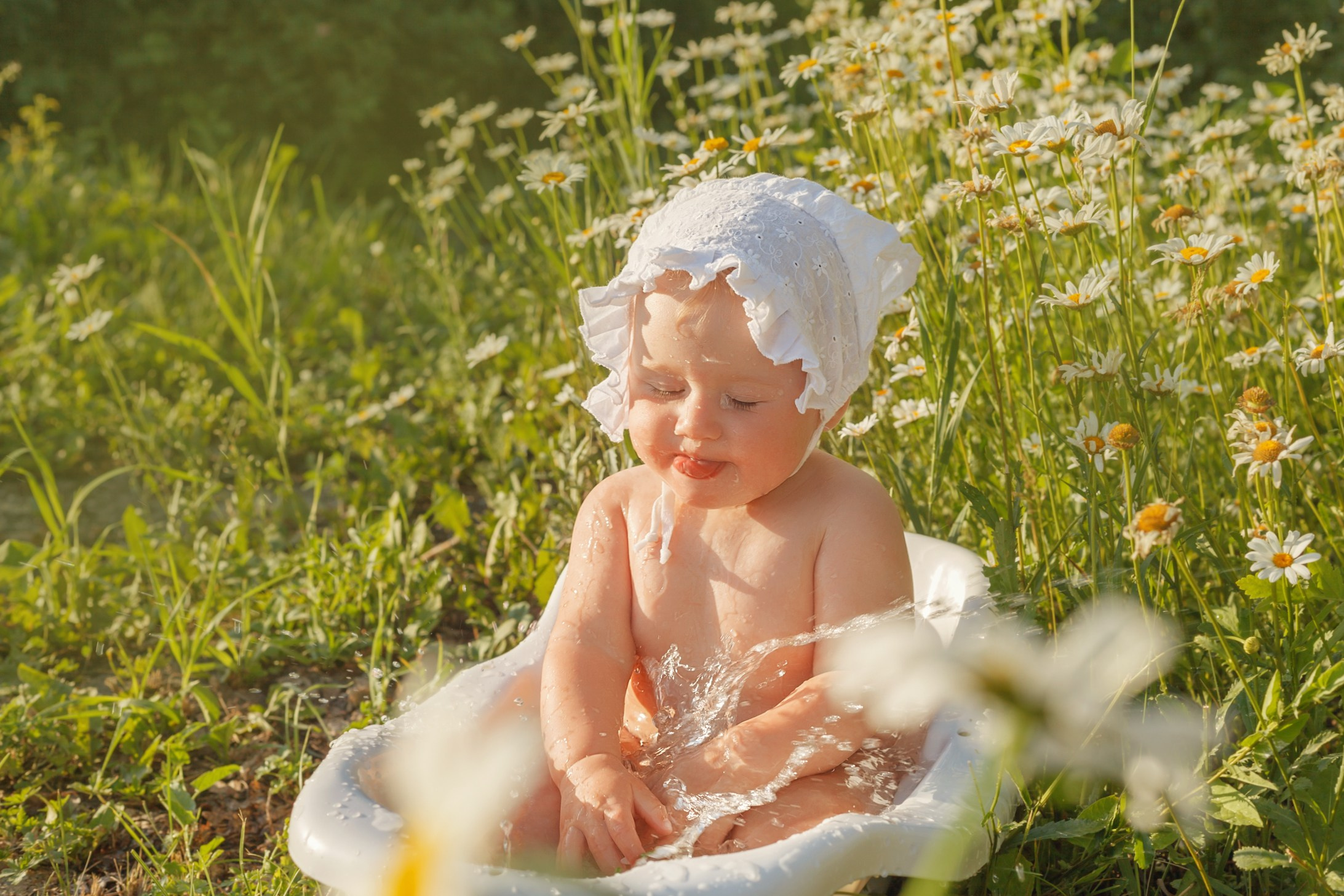 Ромашки. Детский и семейный фотограф в Бердске и Новосибирске Дарья Гребнева