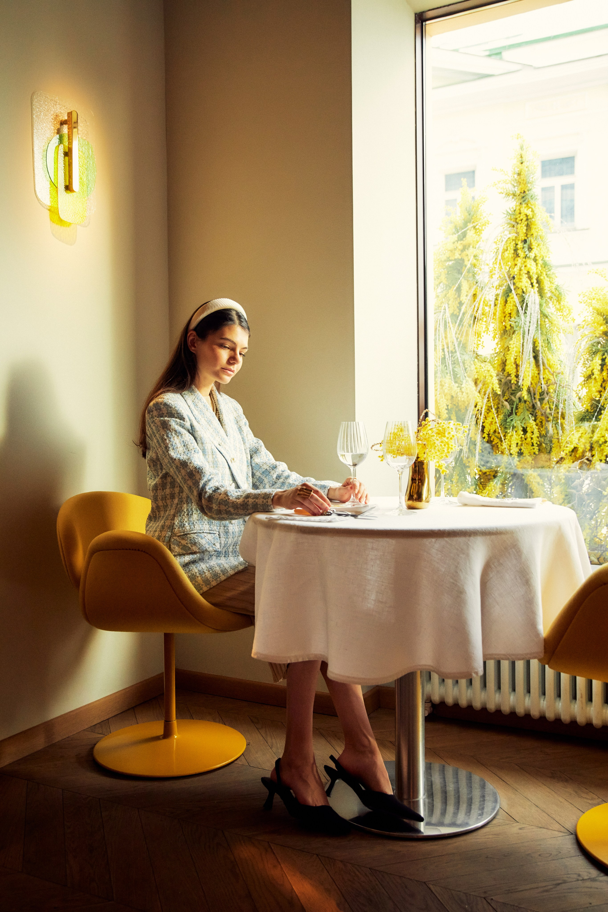 Мимоза. Photorina — фотограф Ирина Гулемина