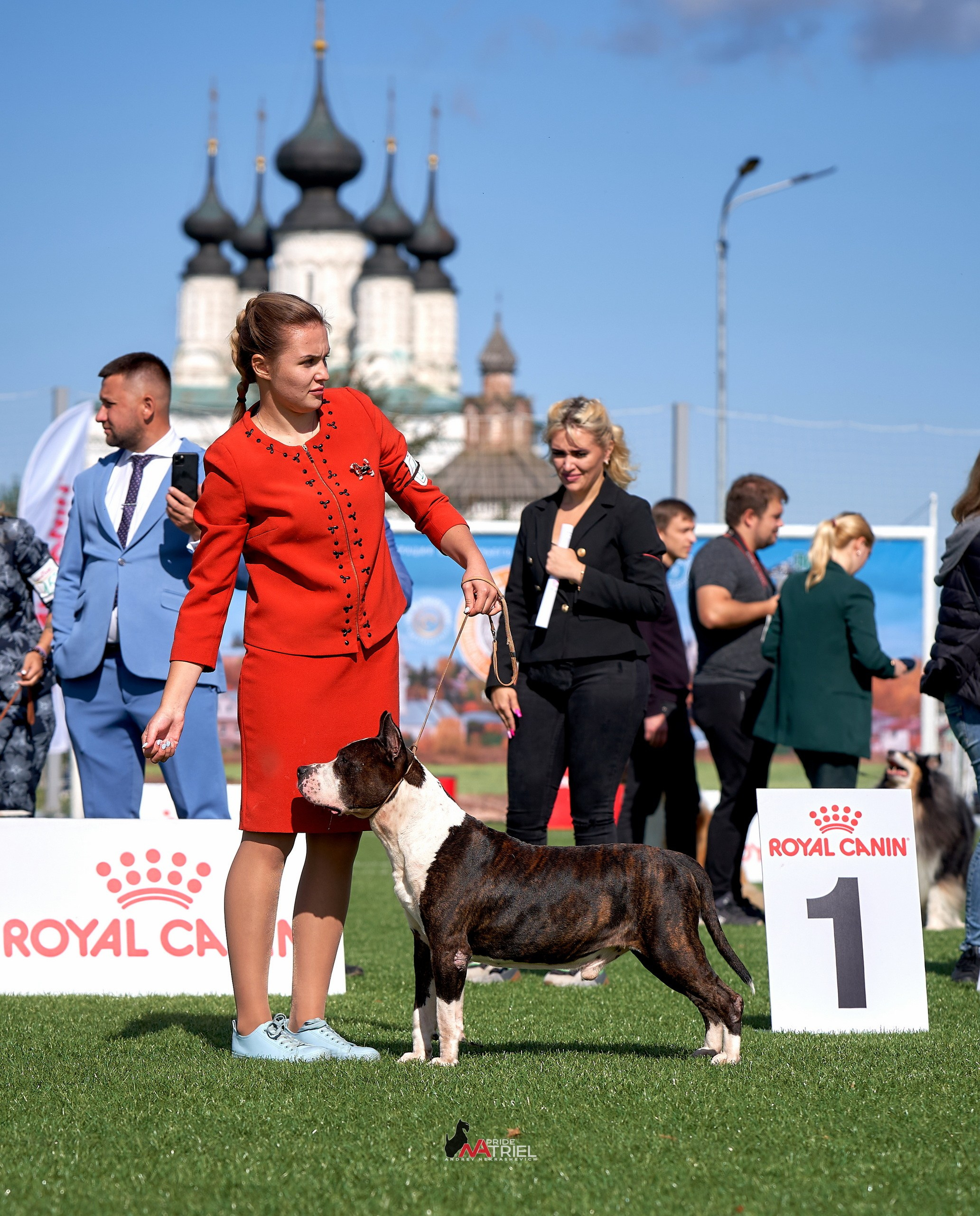 Призовые места — галерея NATRIEL