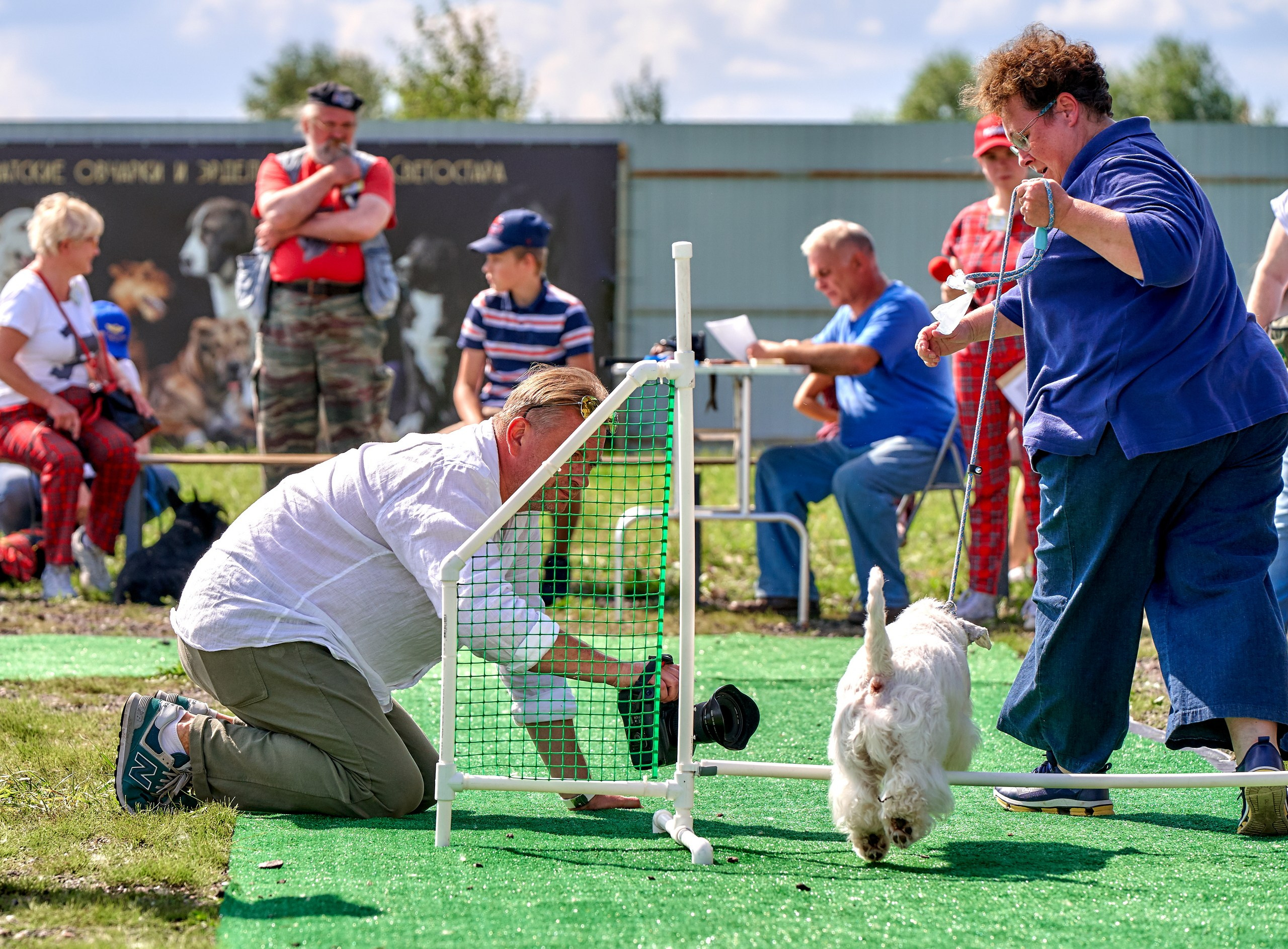Мероприятия с собаками — галерея NATRIEL