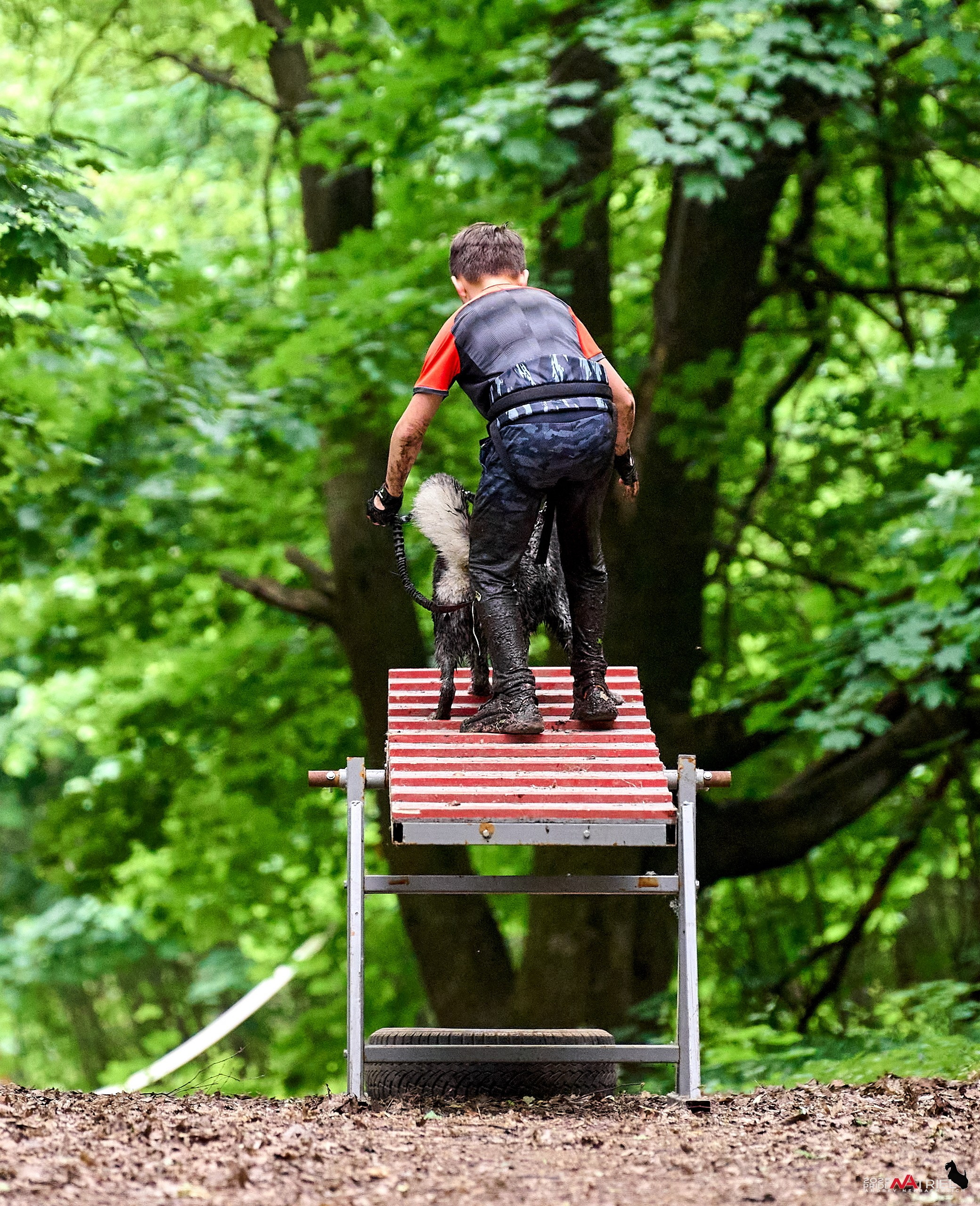 Russian Extreme Dog Trail — 2025