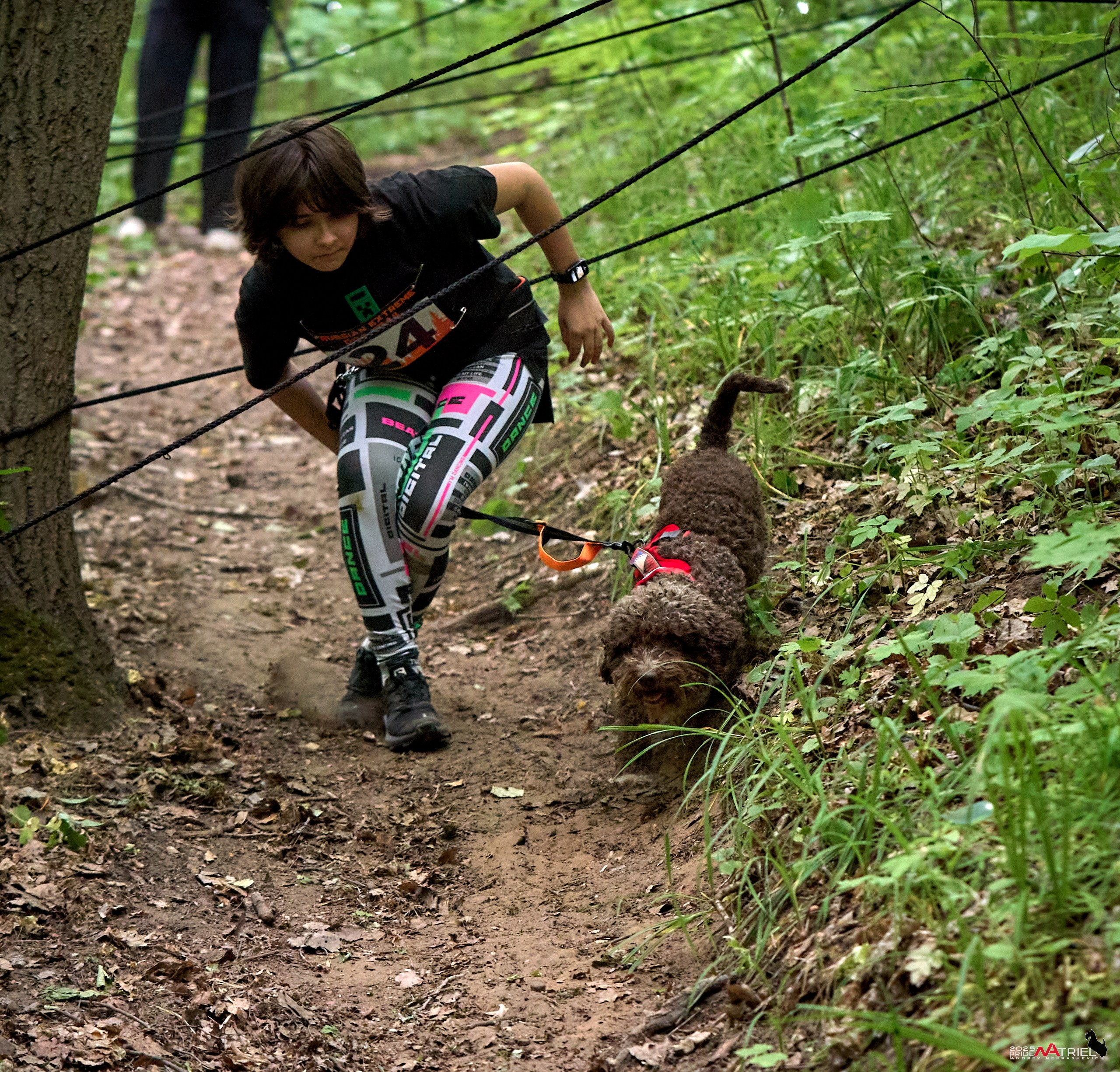 Russian Extreme Dog Trail — 2025