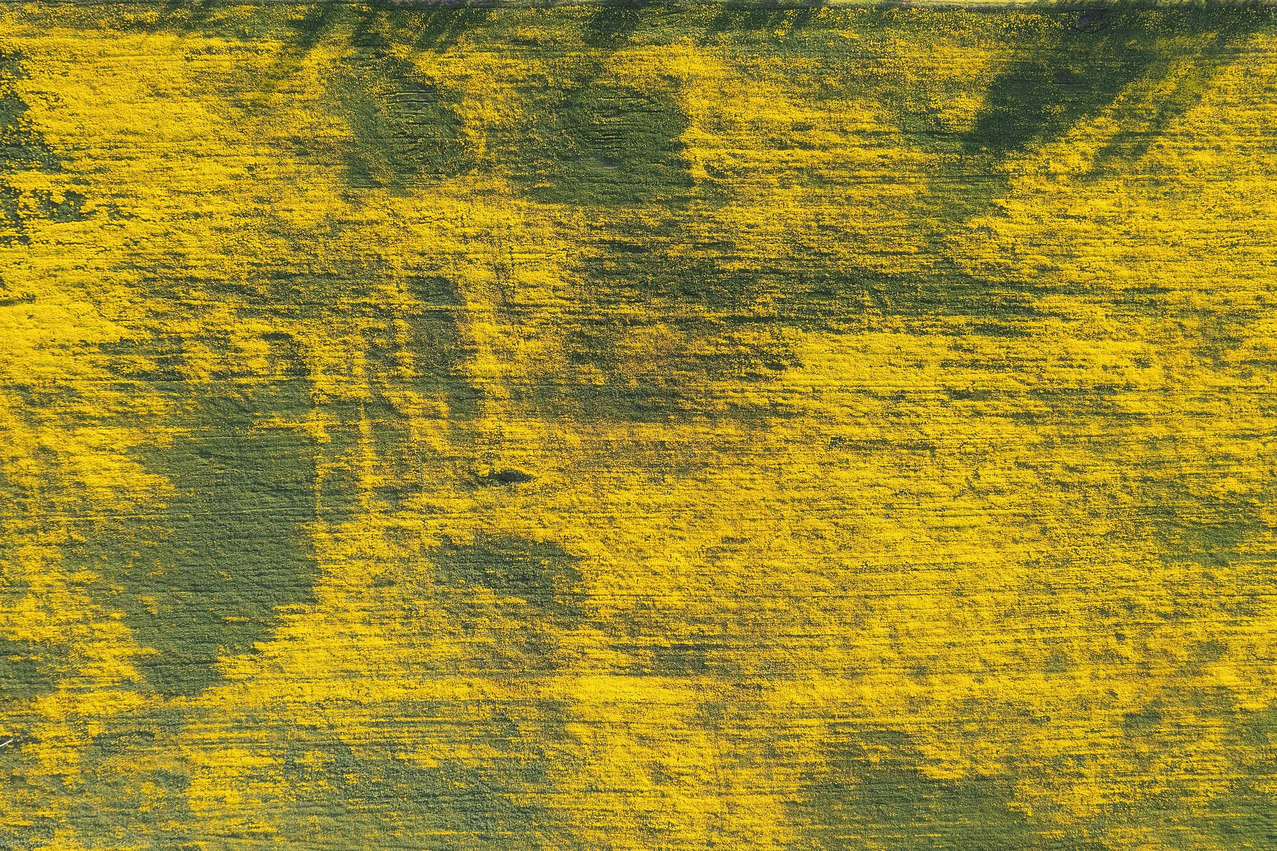 Ленинградская область. Архитектурный и пейзажный фотограф Кондратенко Руслан, Санкт-Петербург