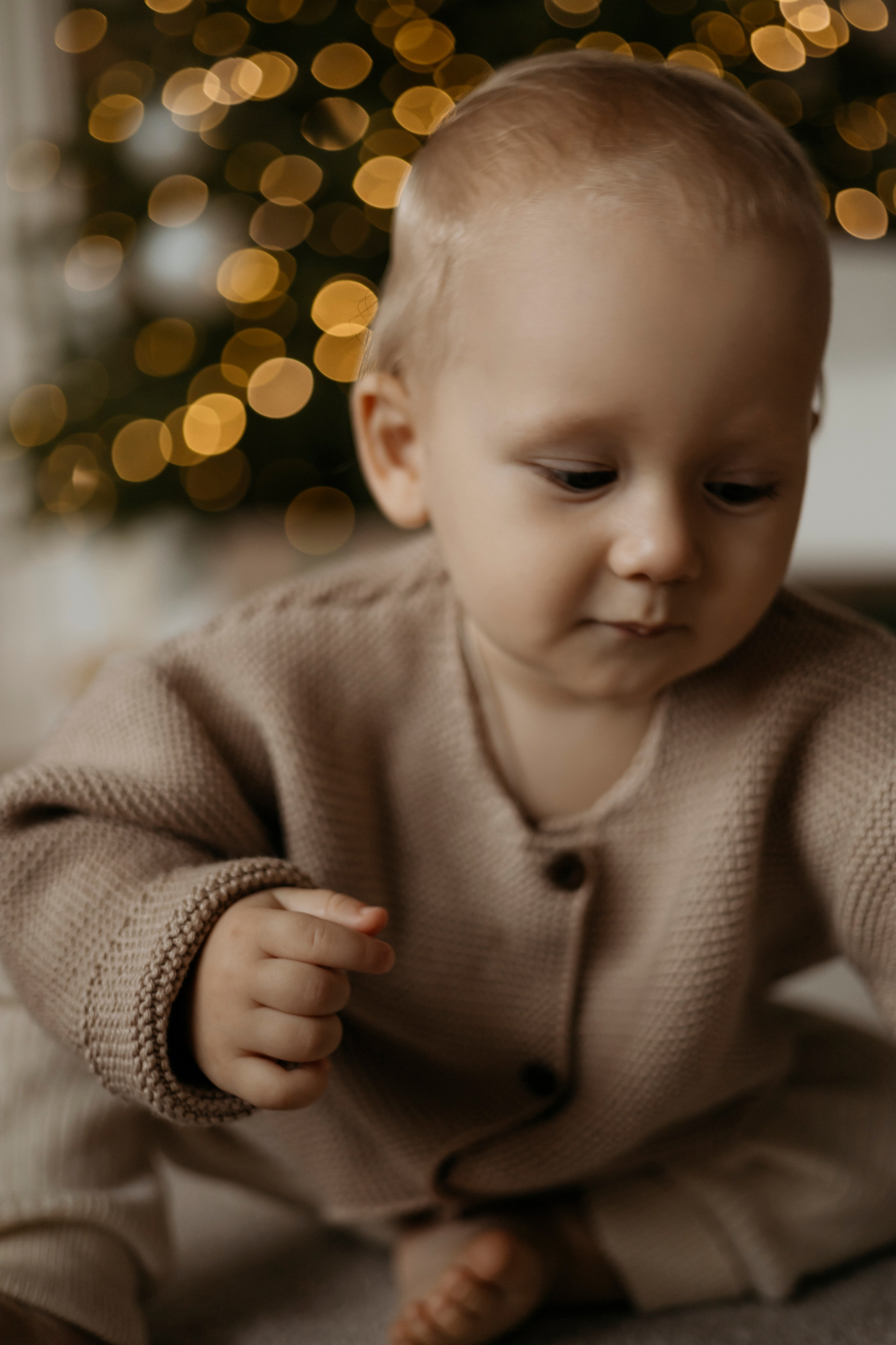 Мирон новогодняя. Самый теплый фотограф в Краснодаре Рябоконь Ксения