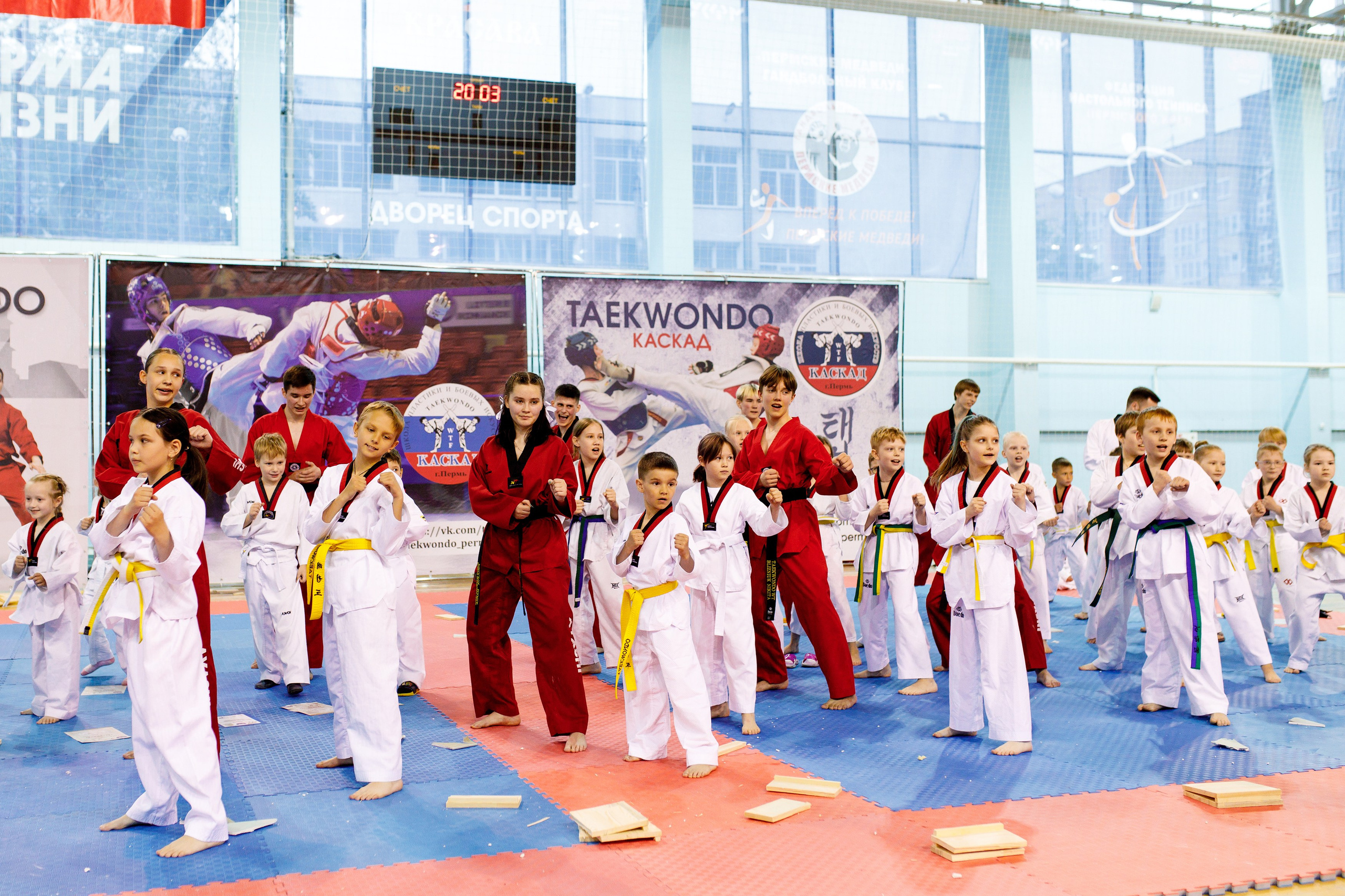 Тхэквондо СК «Каскад». Фотограф Дмитрий Молчанов | Фотограф Пермь | Фотограф