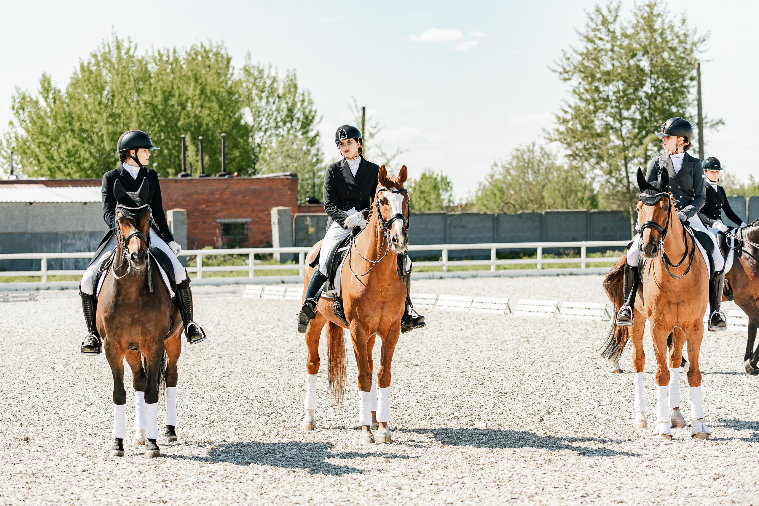 РЕПОРТАЖ МКК ВОЛЬТ «LA TULIPS». Конный фотограф Куракина Дарья • Фотосессии с лошадьми