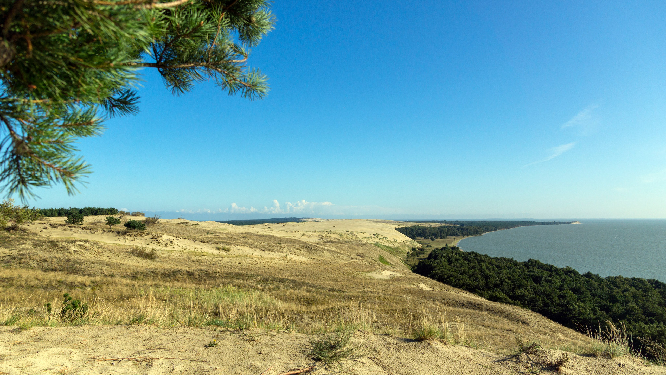Куршская коса. Фотограф-путешественник Самойлов Максим «Sly Fox»