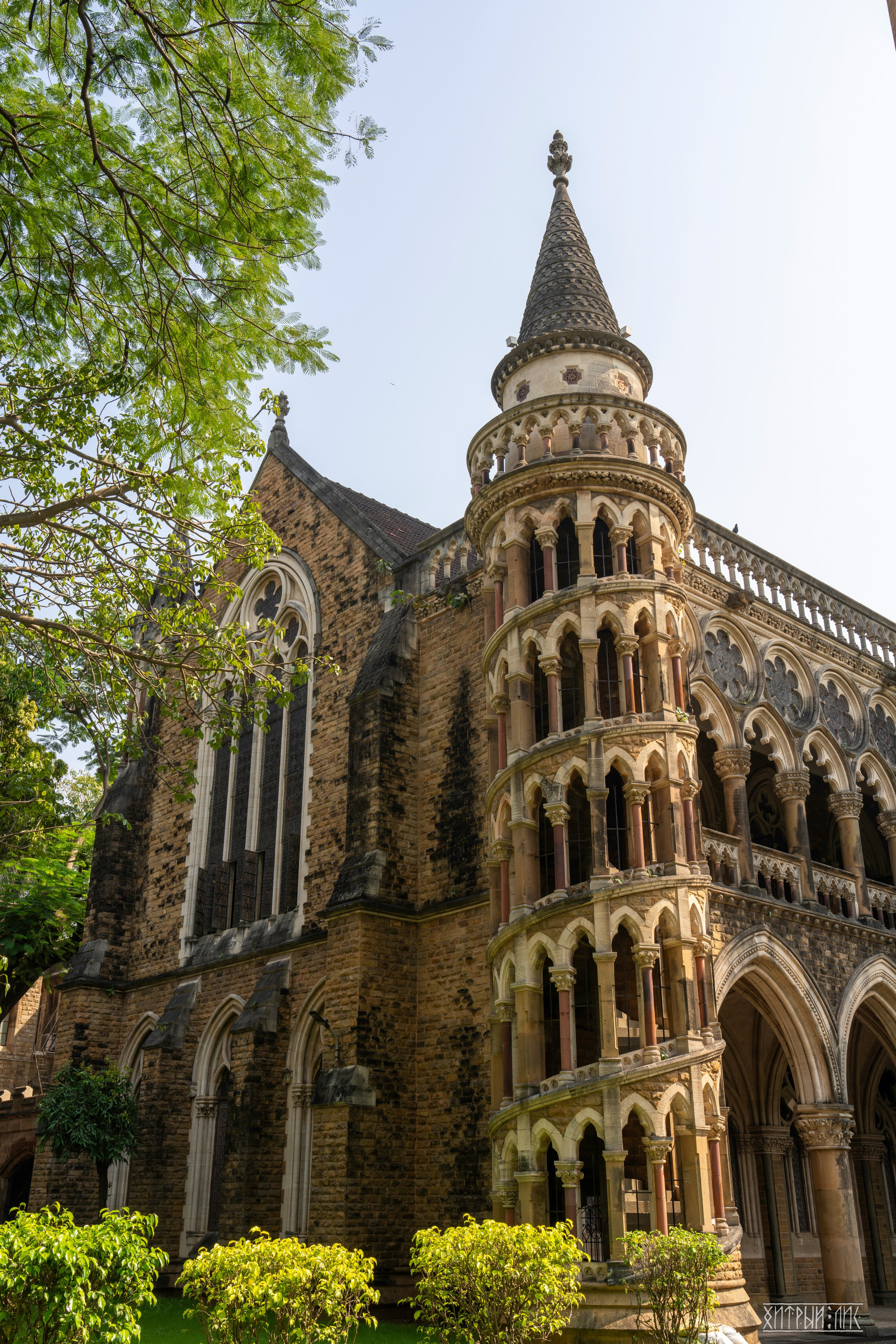 Гоа-Мумбаи. Фотограф-путешественник Самойлов Максим «Sly Fox»