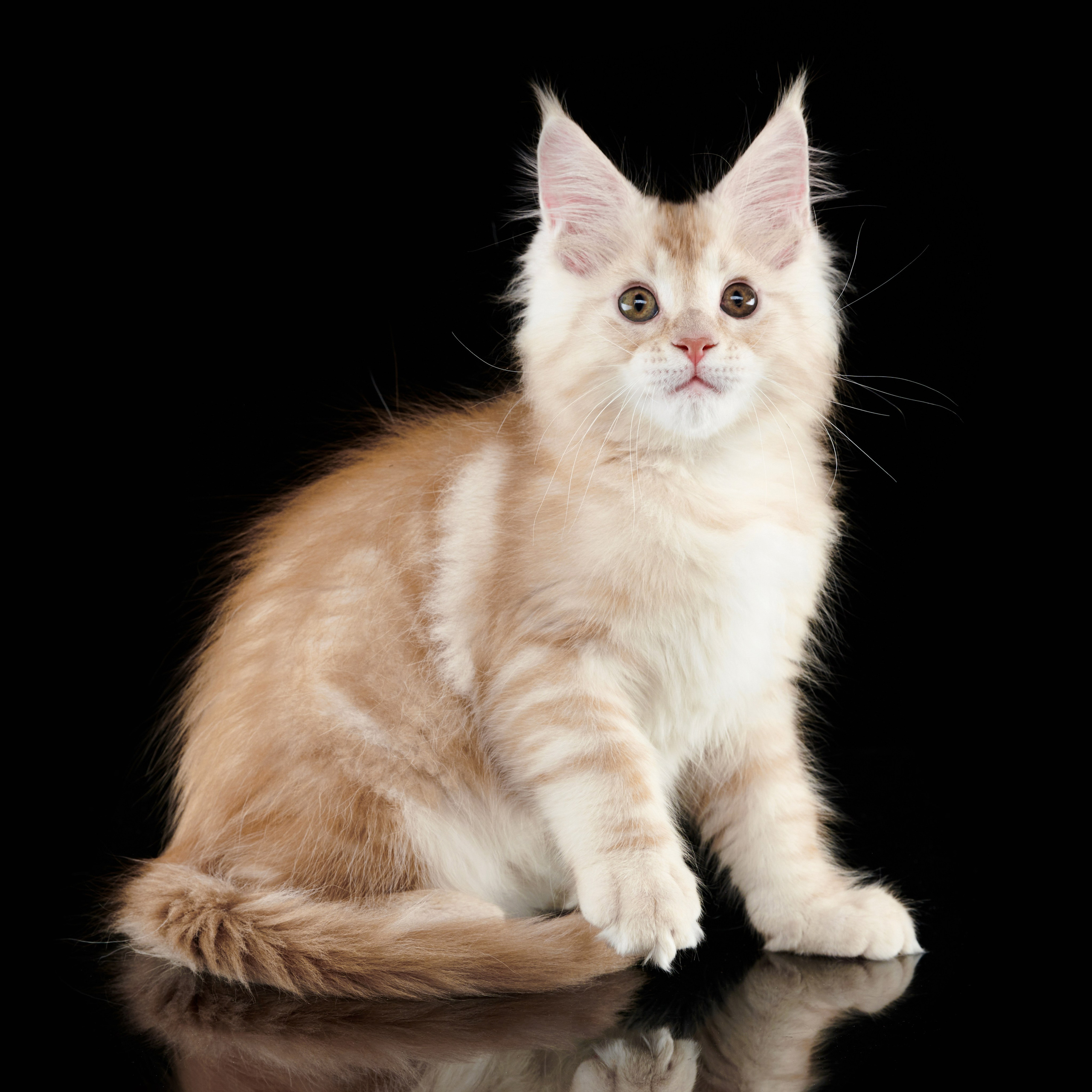 Владислав Смирнов рекламный Фотограф в г. Иваново