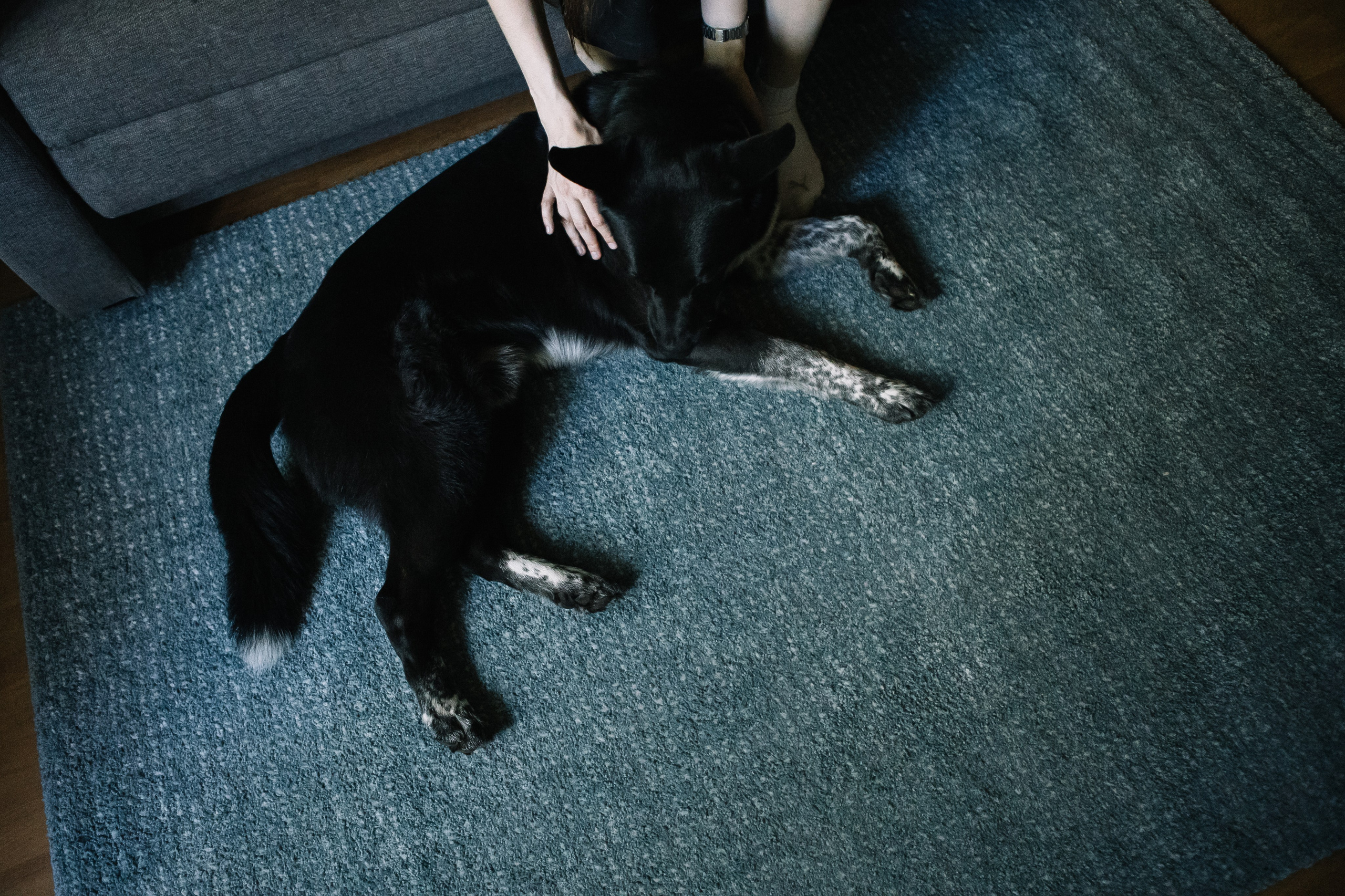 Ира и Морфей. Фотограф Анна Луценко Москва