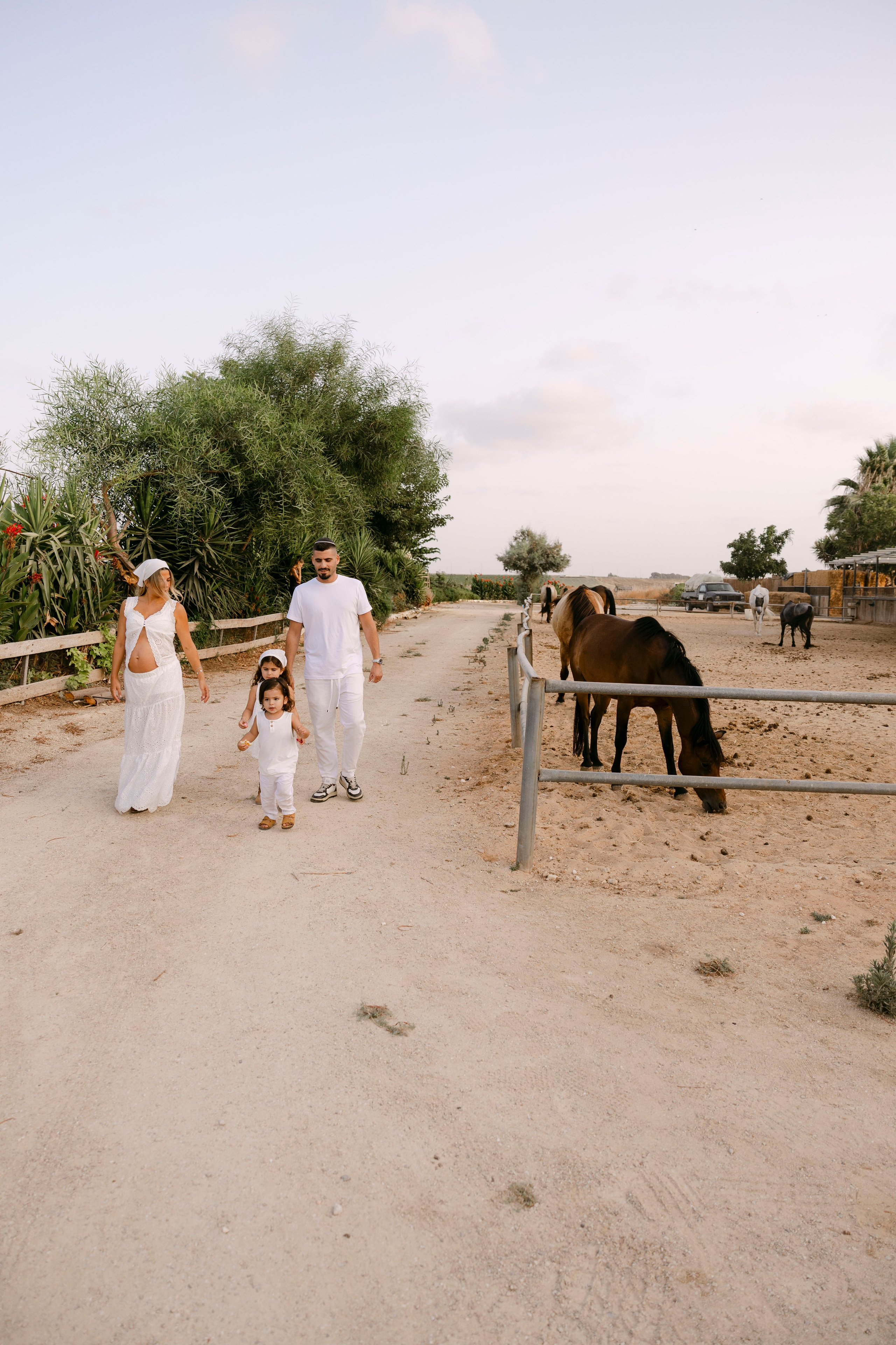 Pregnancy photoshoot at the horse farm. Главная