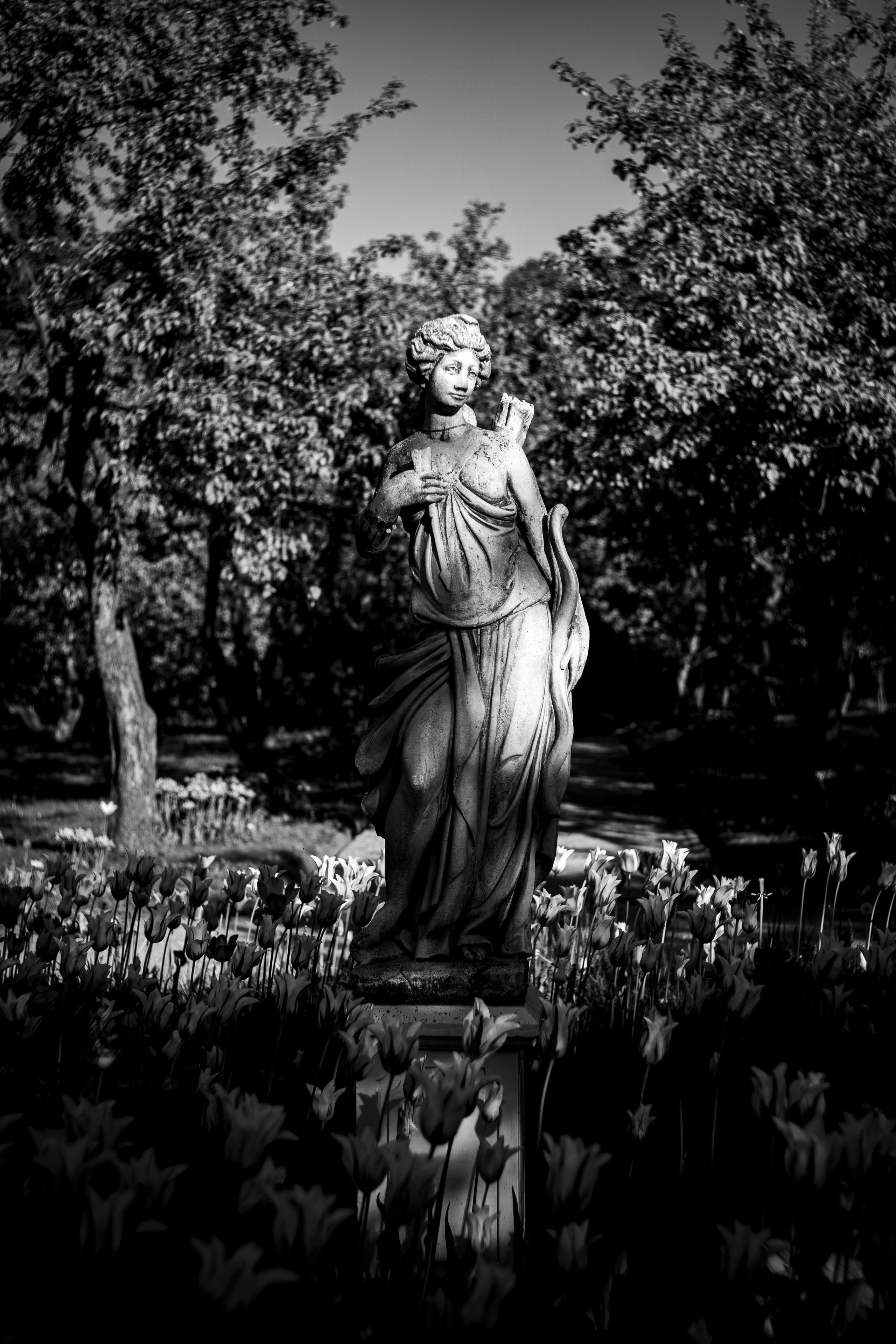 Монохромная Москва. Легкая фотография